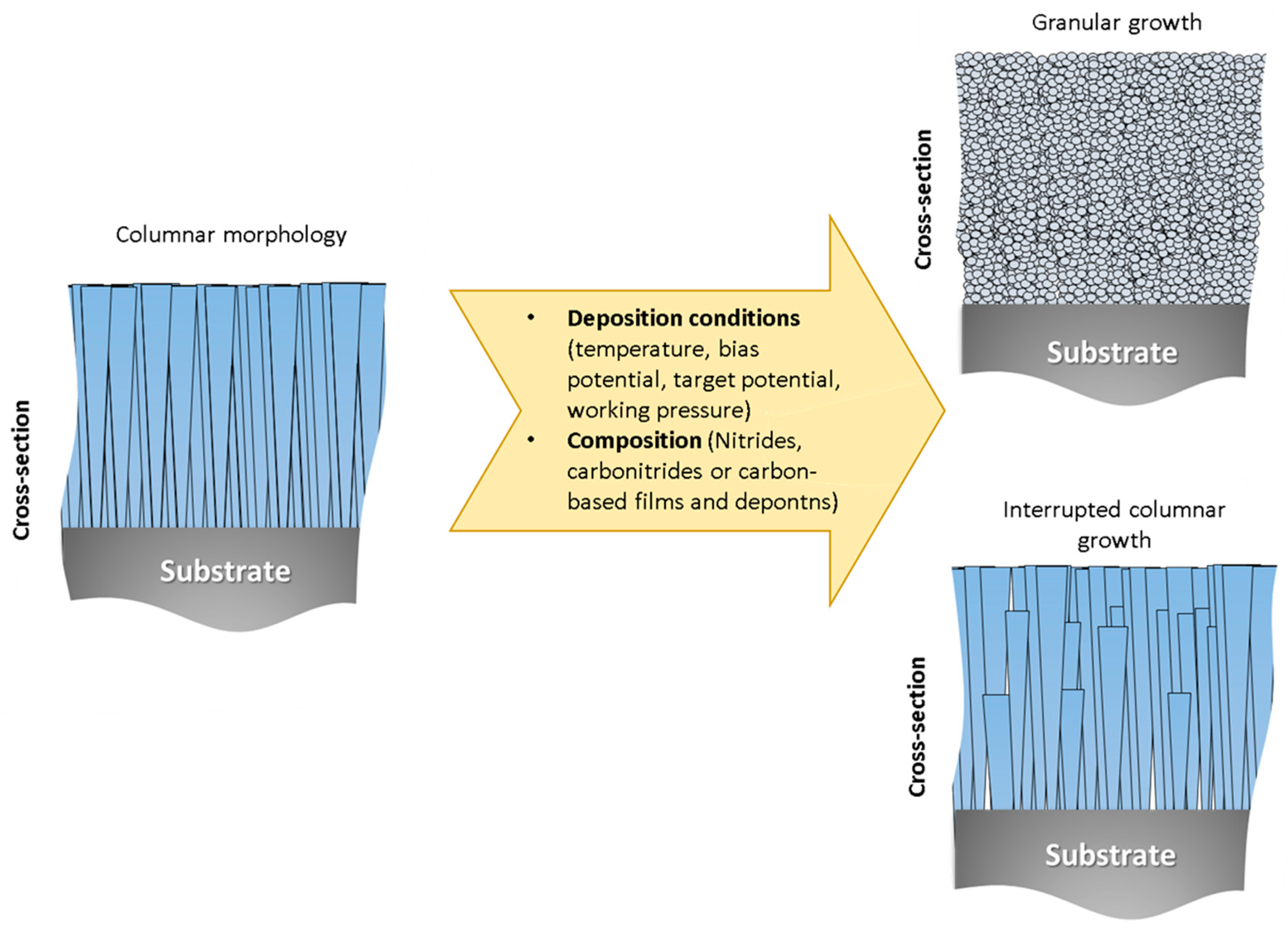 Coatings 09 00682 g001