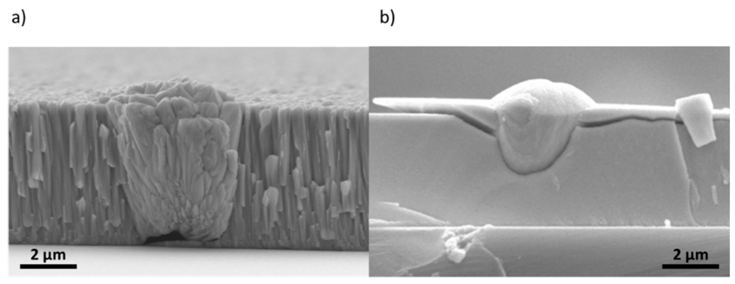 Coatings 09 00682 g004