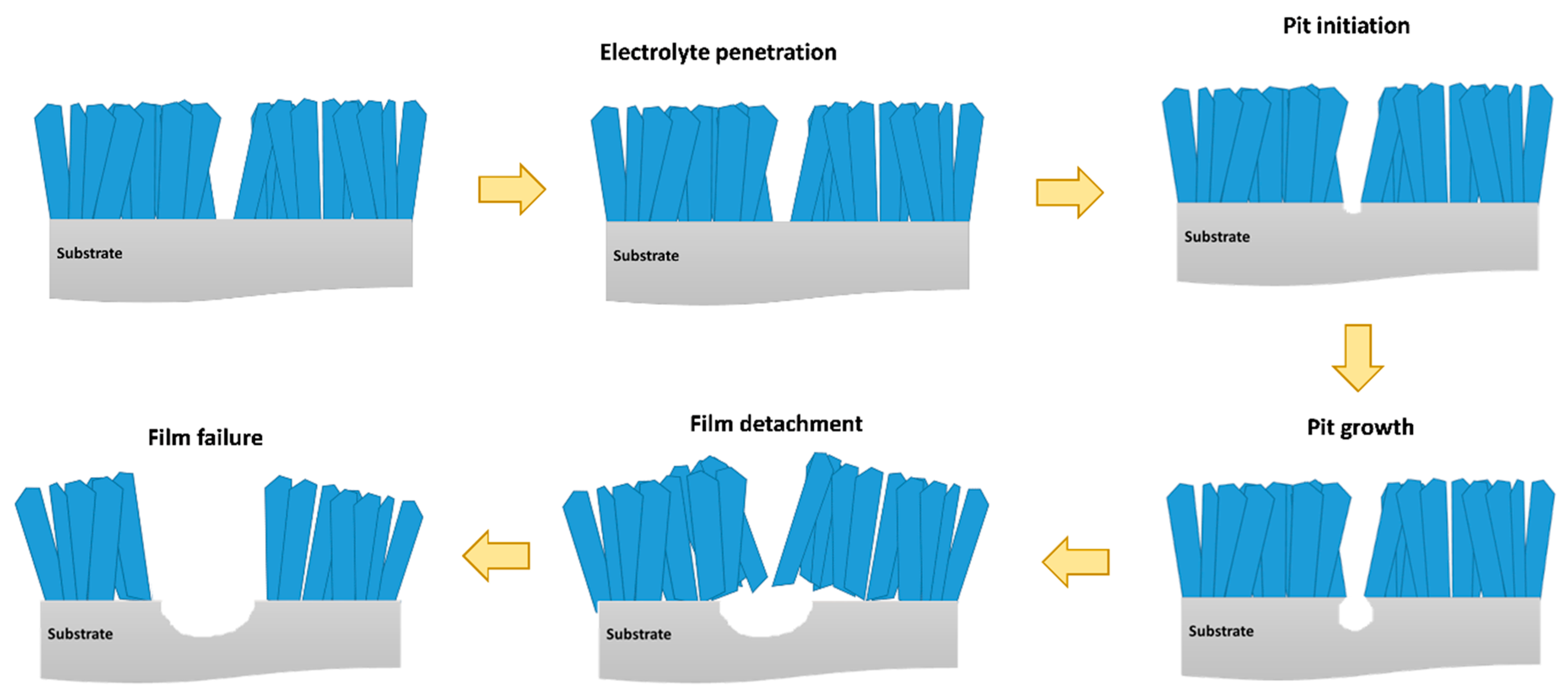 Coatings 09 00682 g011