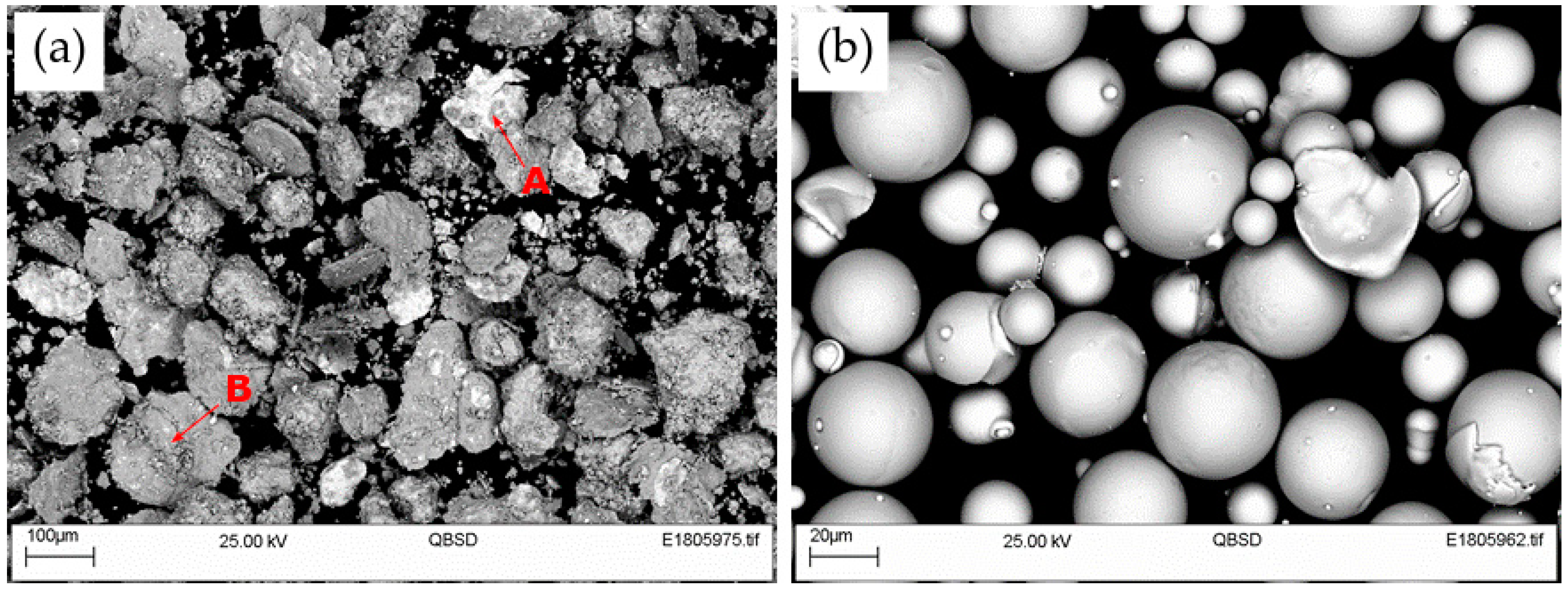 Coatings 09 00695 g001