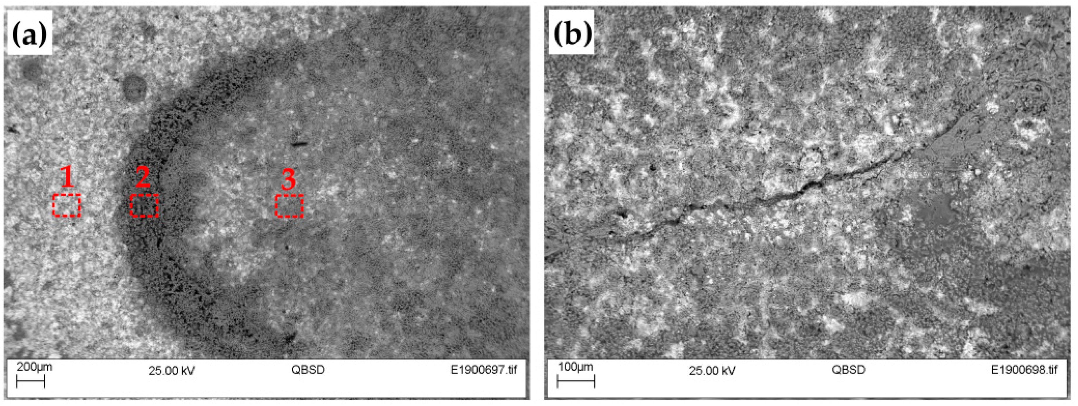 Coatings 09 00695 g006
