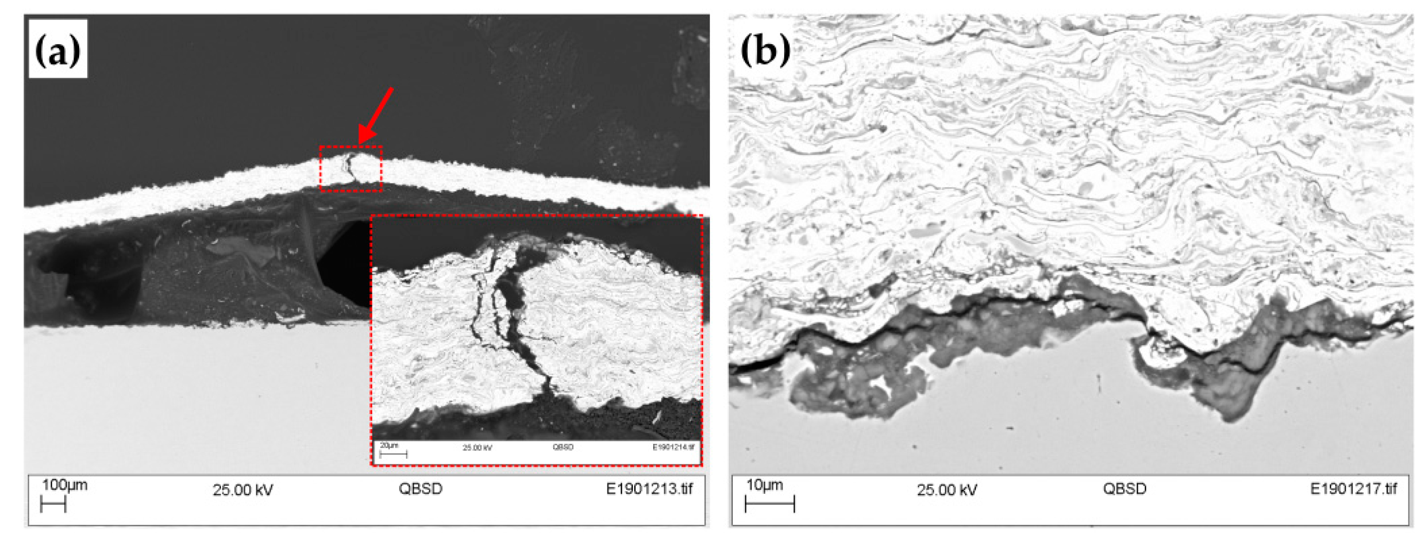 Coatings 09 00695 g007