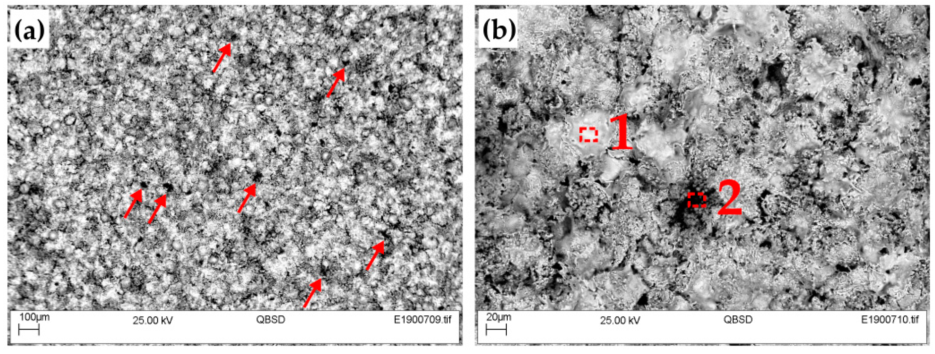 Coatings 09 00695 g008
