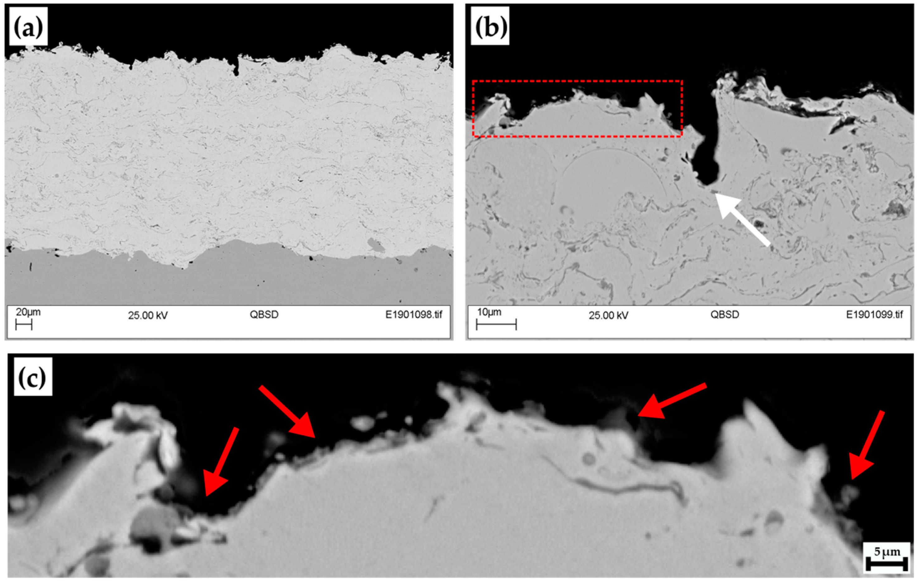 Coatings 09 00695 g009
