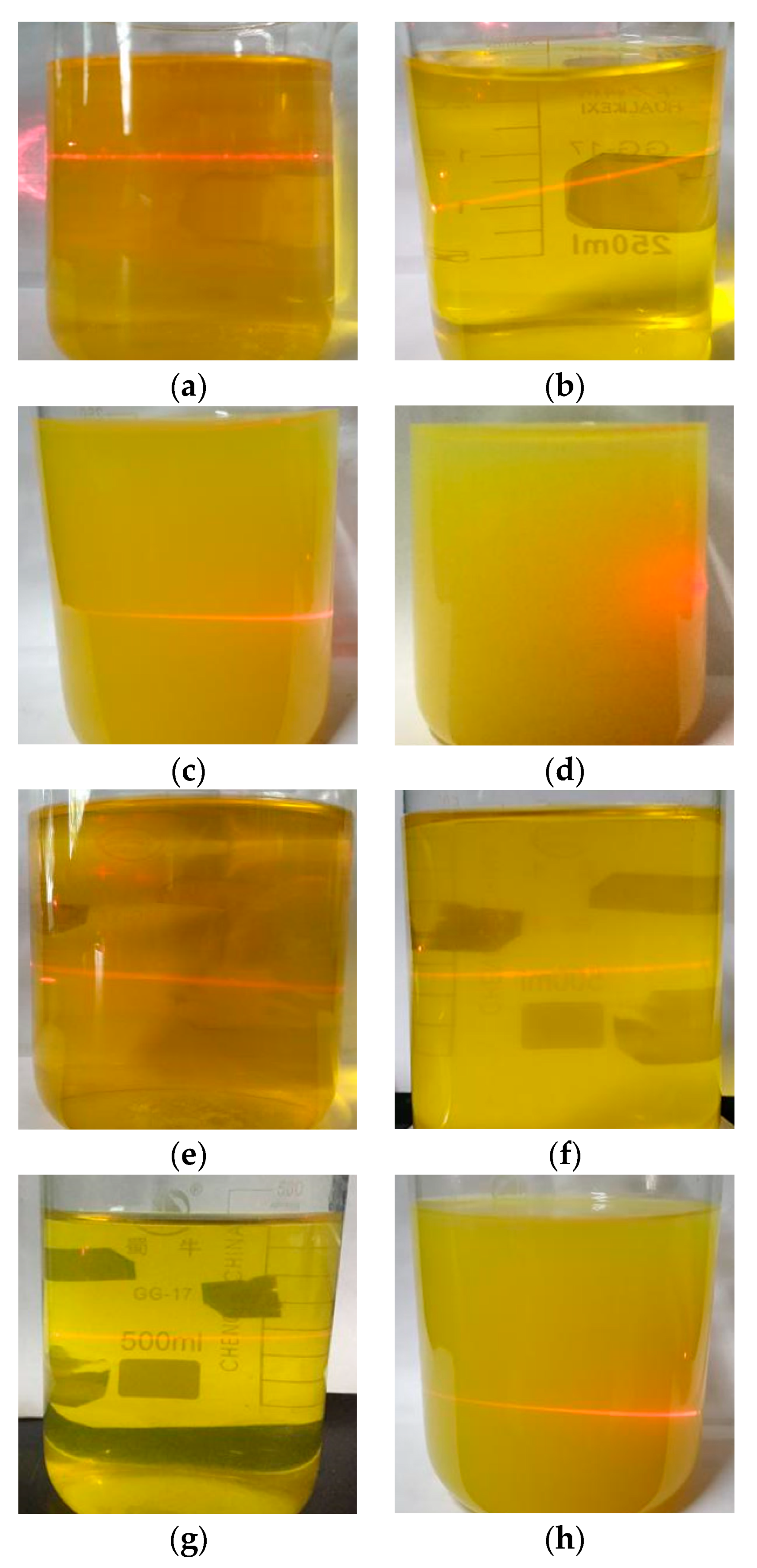 Coatings 09 00701 g002