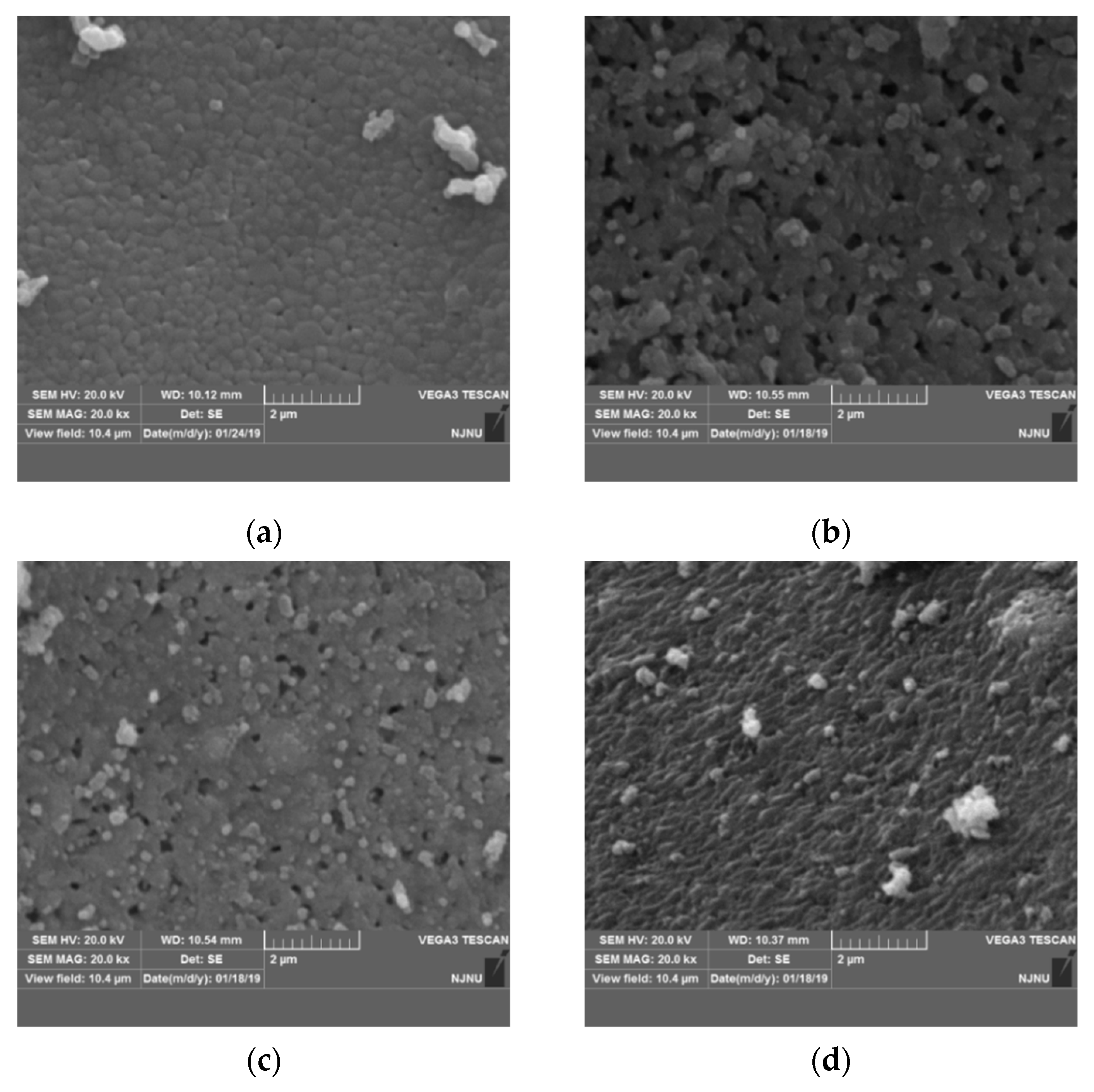 Coatings 09 00701 g004