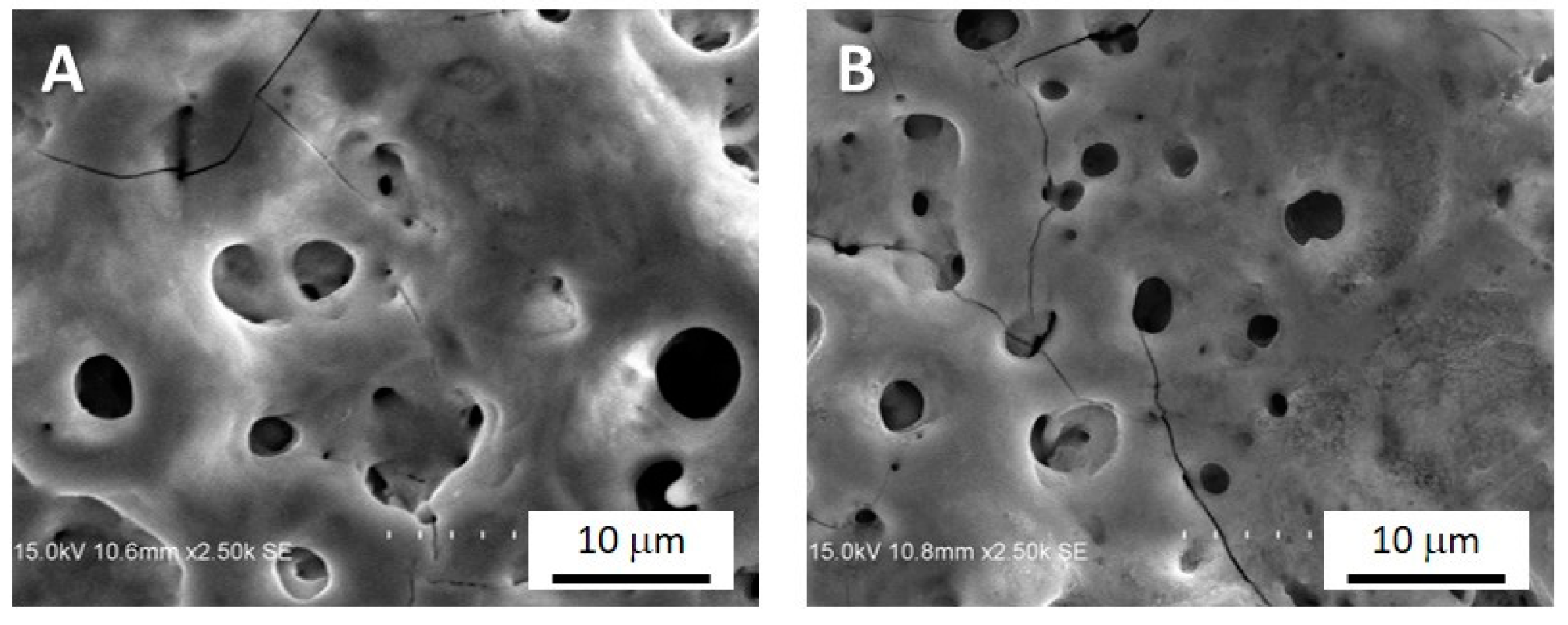 Coatings 09 00705 g001