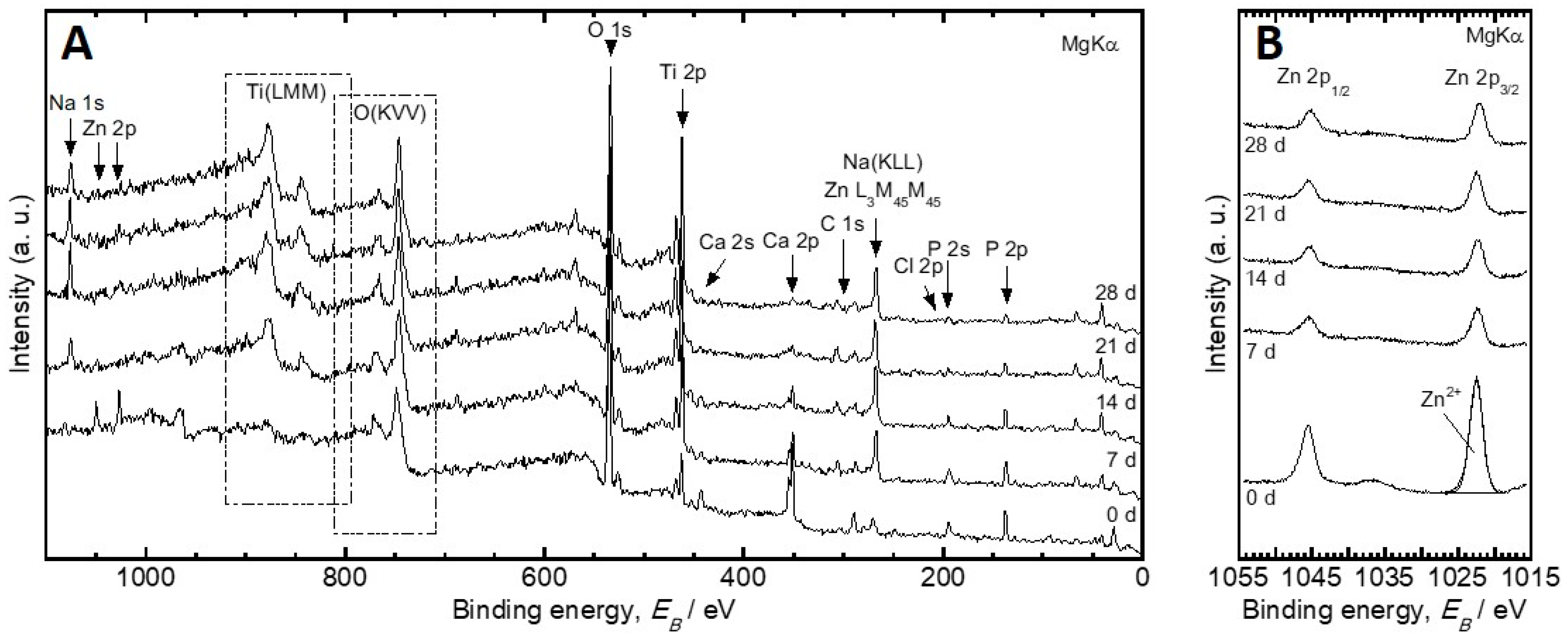 Coatings 09 00705 g003