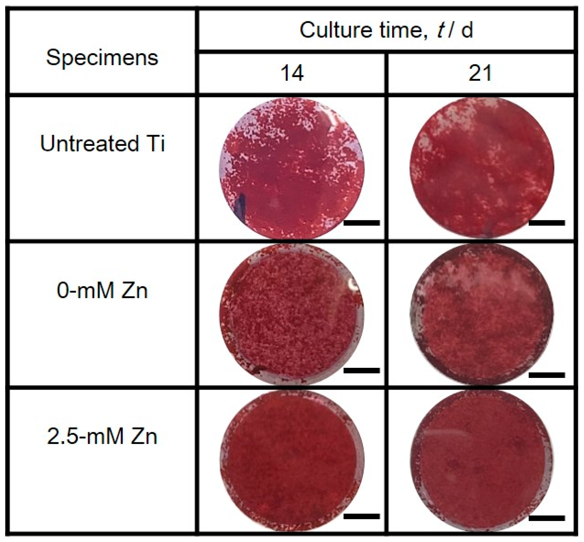 Coatings 09 00705 g009