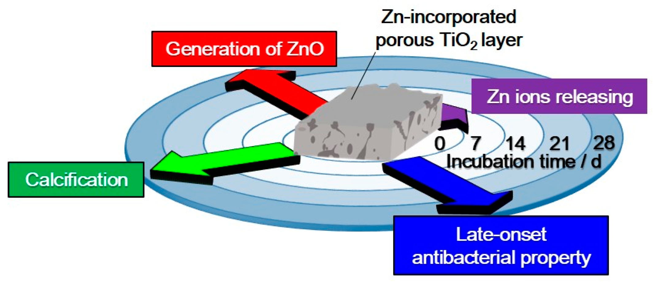 Coatings 09 00705 g010