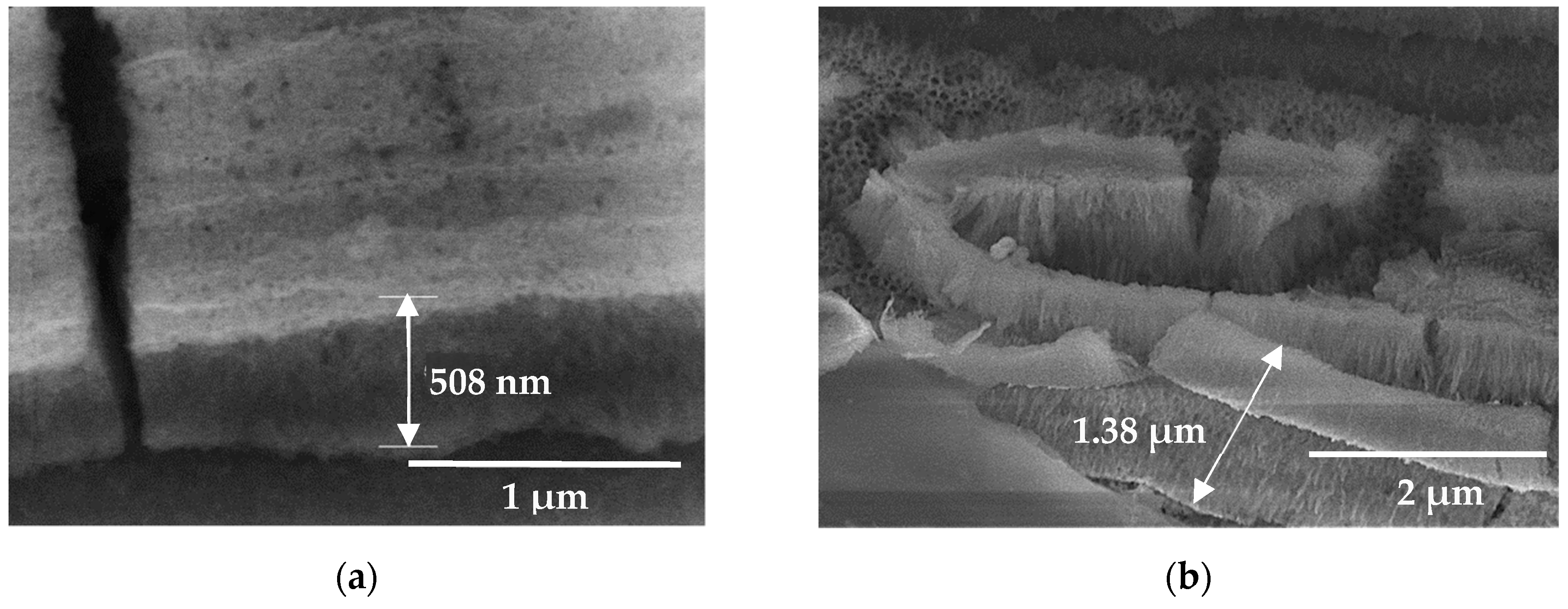 Coatings 09 00706 g004