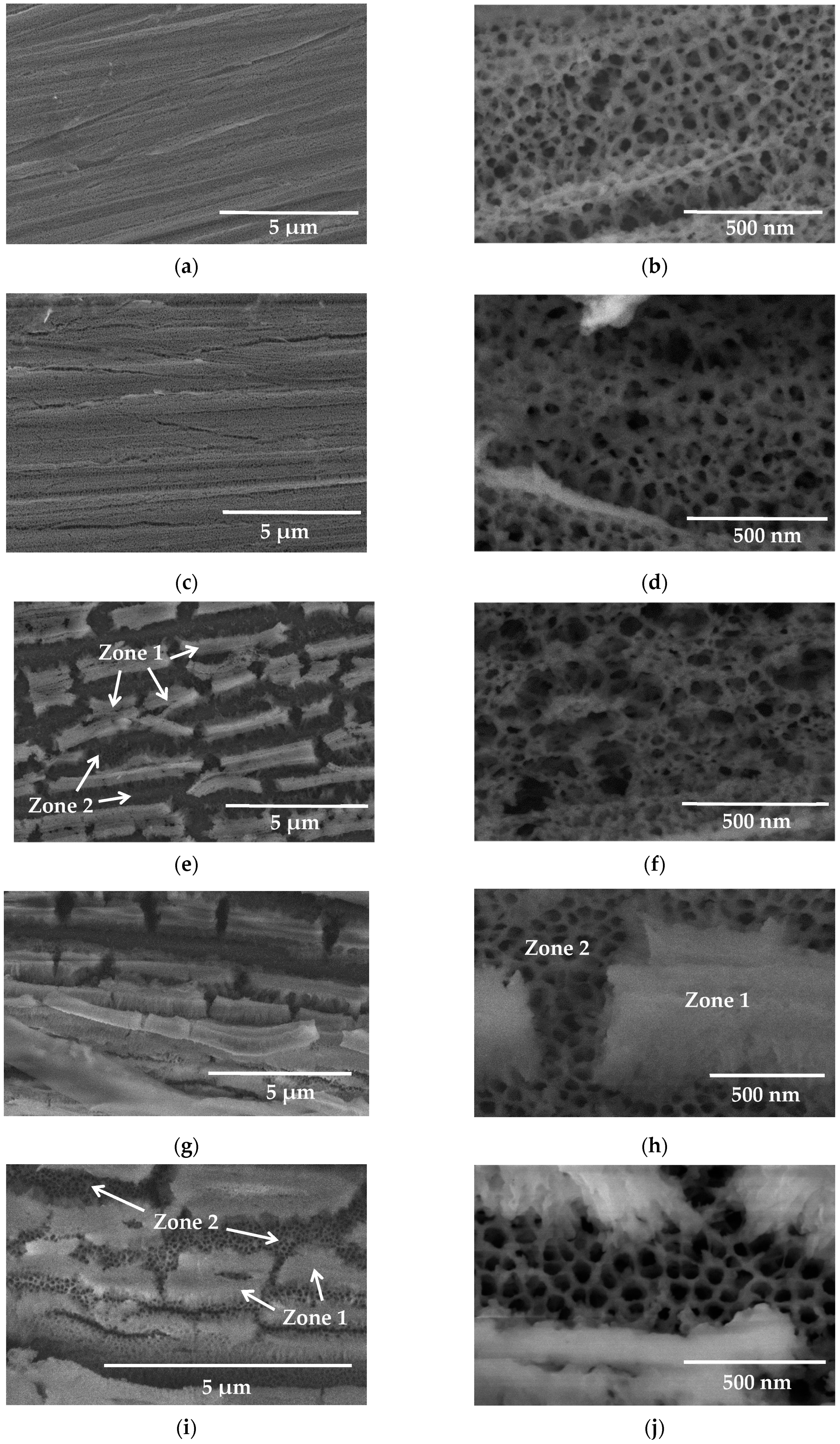 Coatings 09 00706 g005