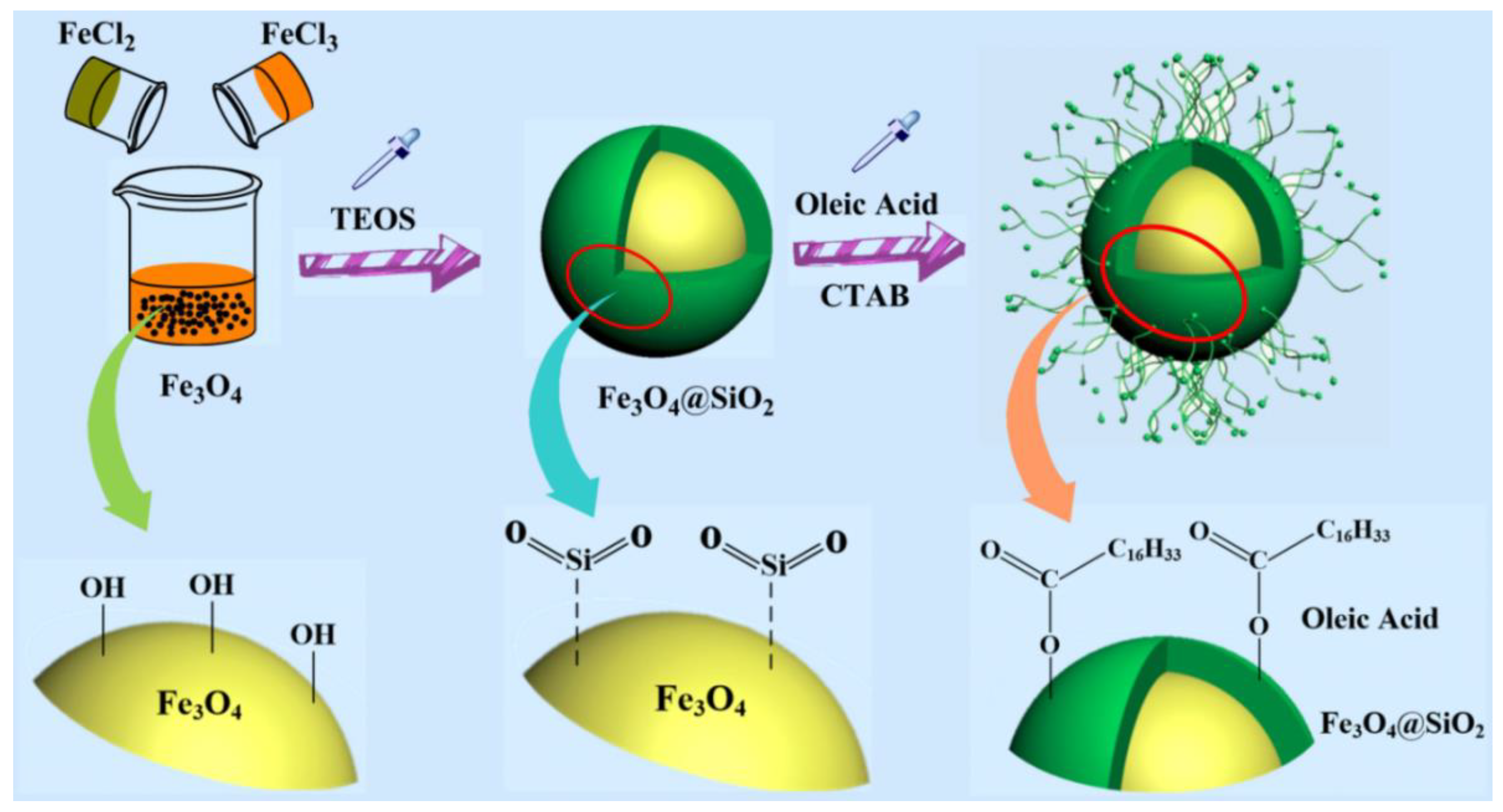 Coatings 09 00716 g001