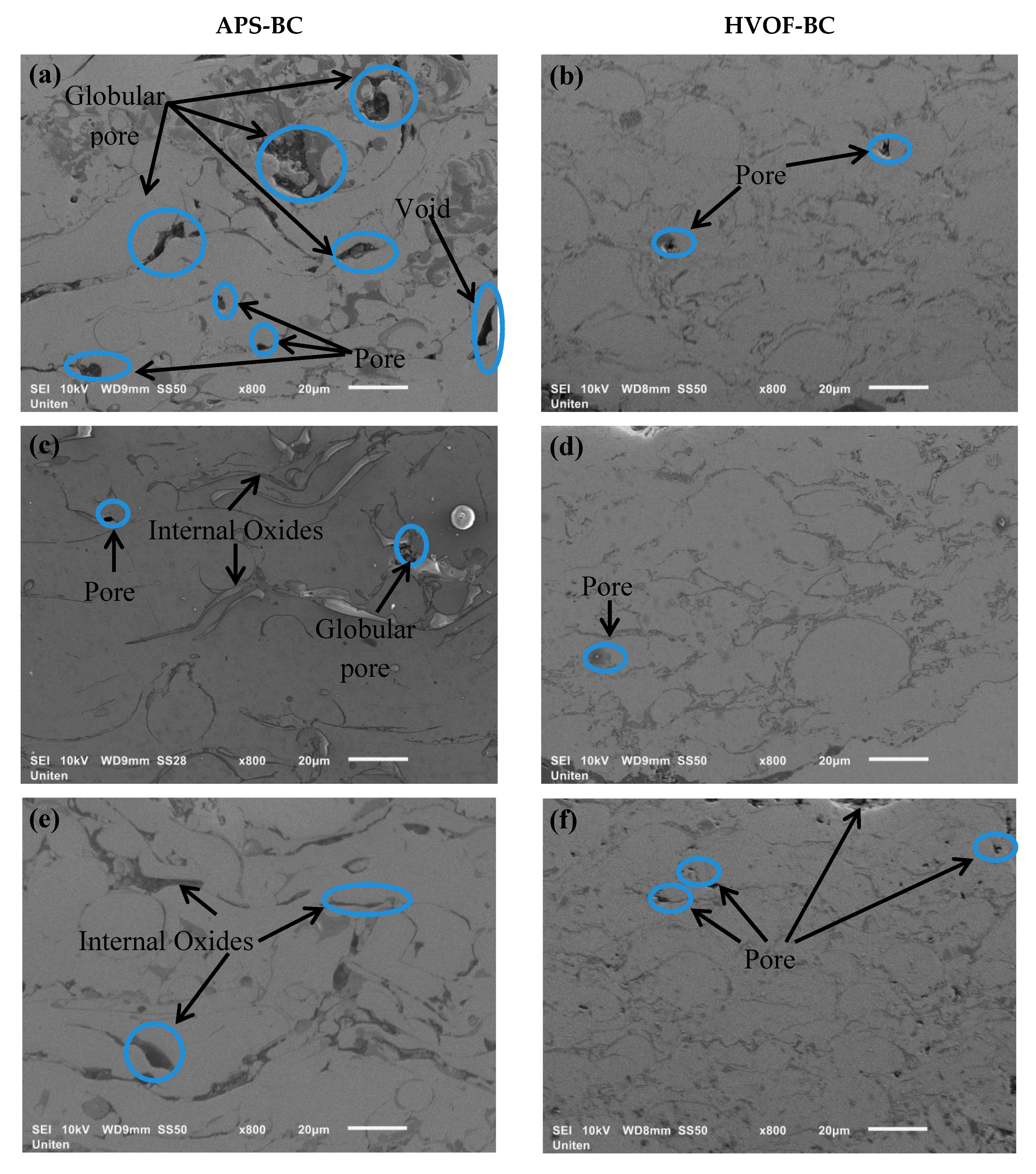 Coatings 09 00719 g001a