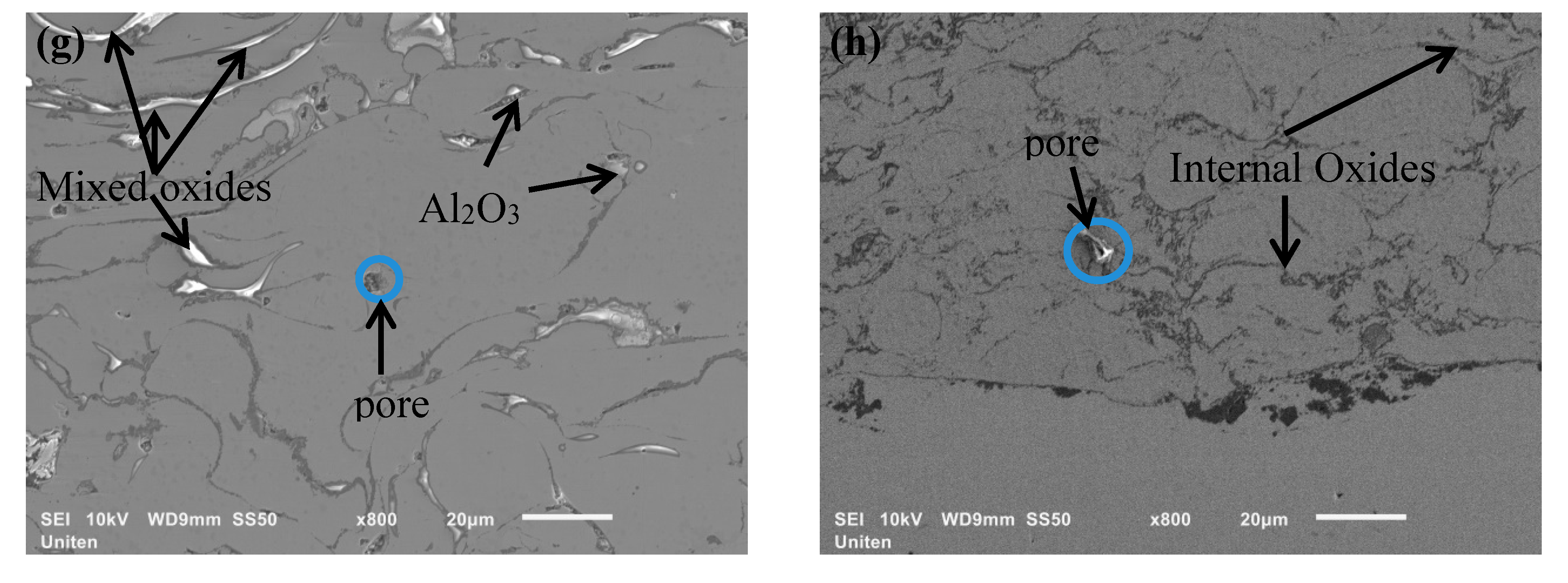 Coatings 09 00719 g001b