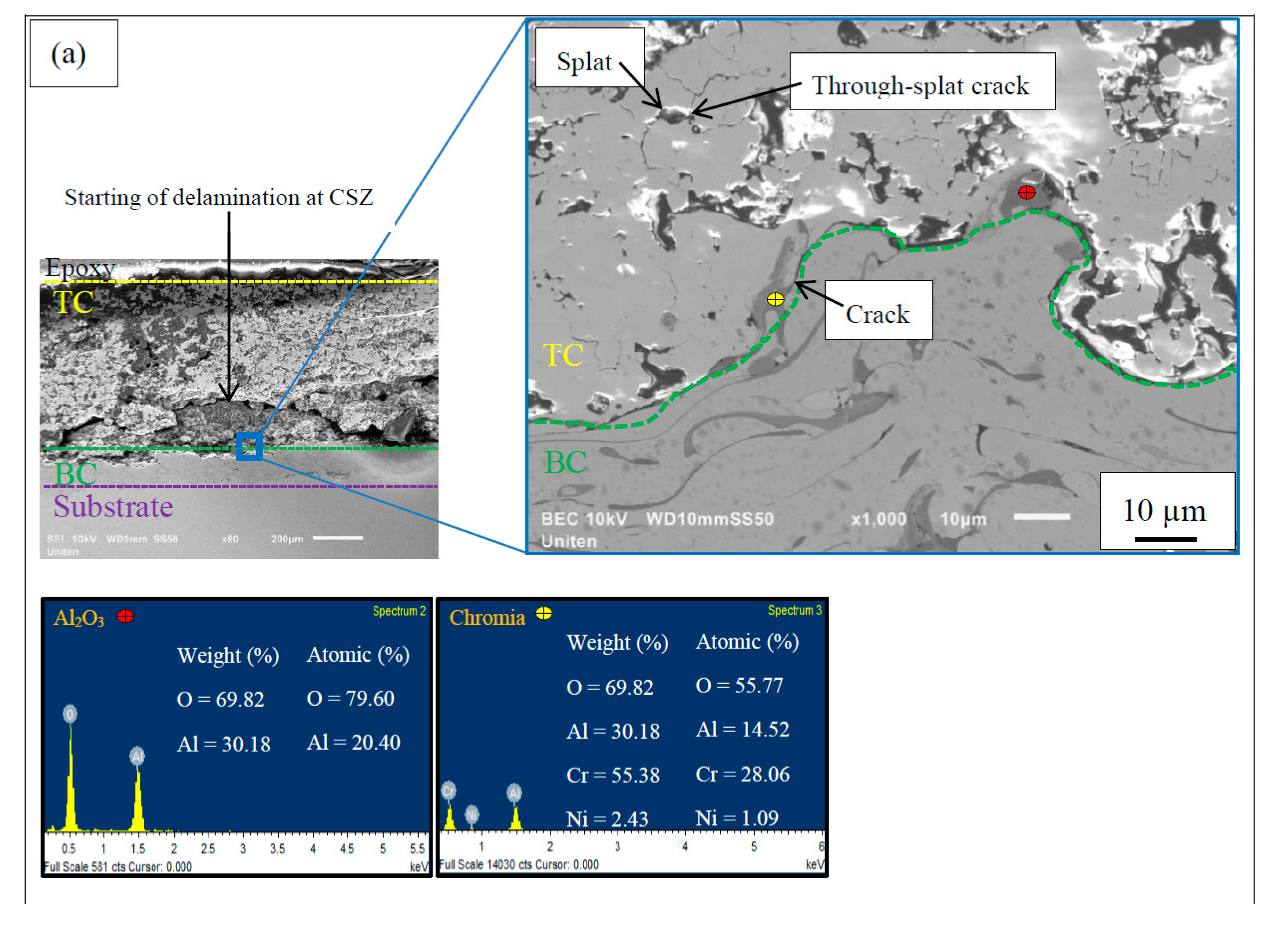 Coatings 09 00719 g003a