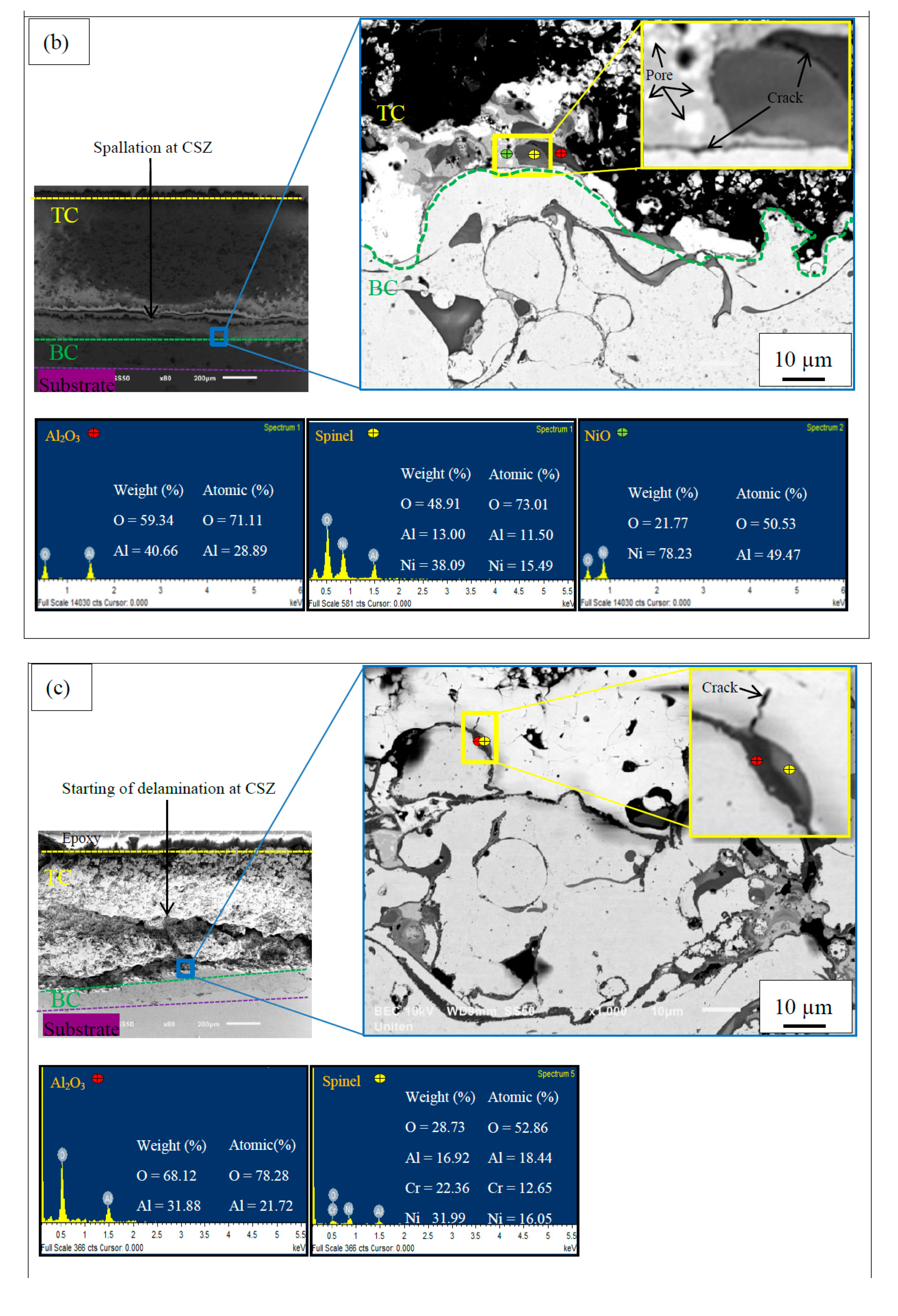 Coatings 09 00719 g003b
