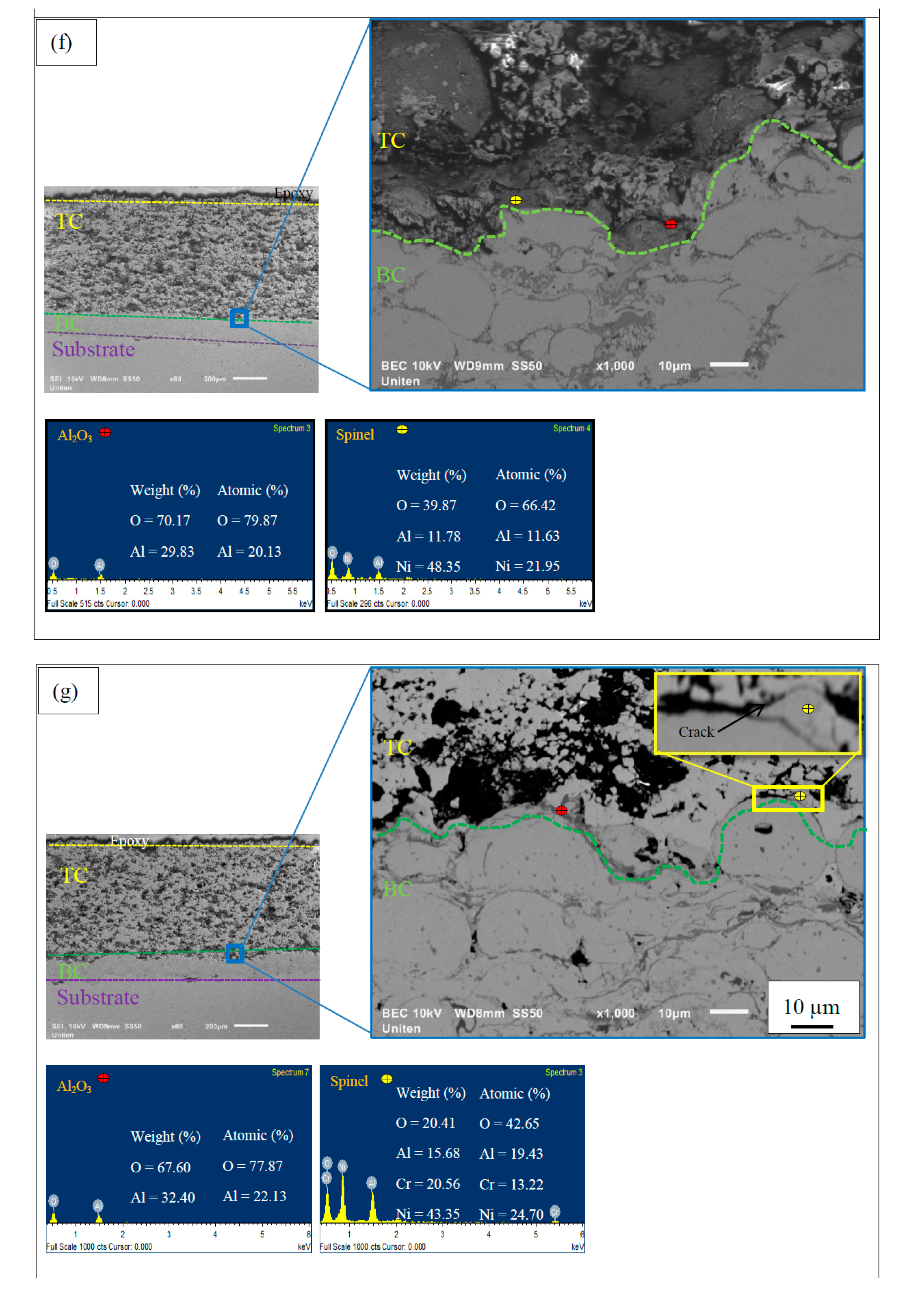Coatings 09 00719 g003d
