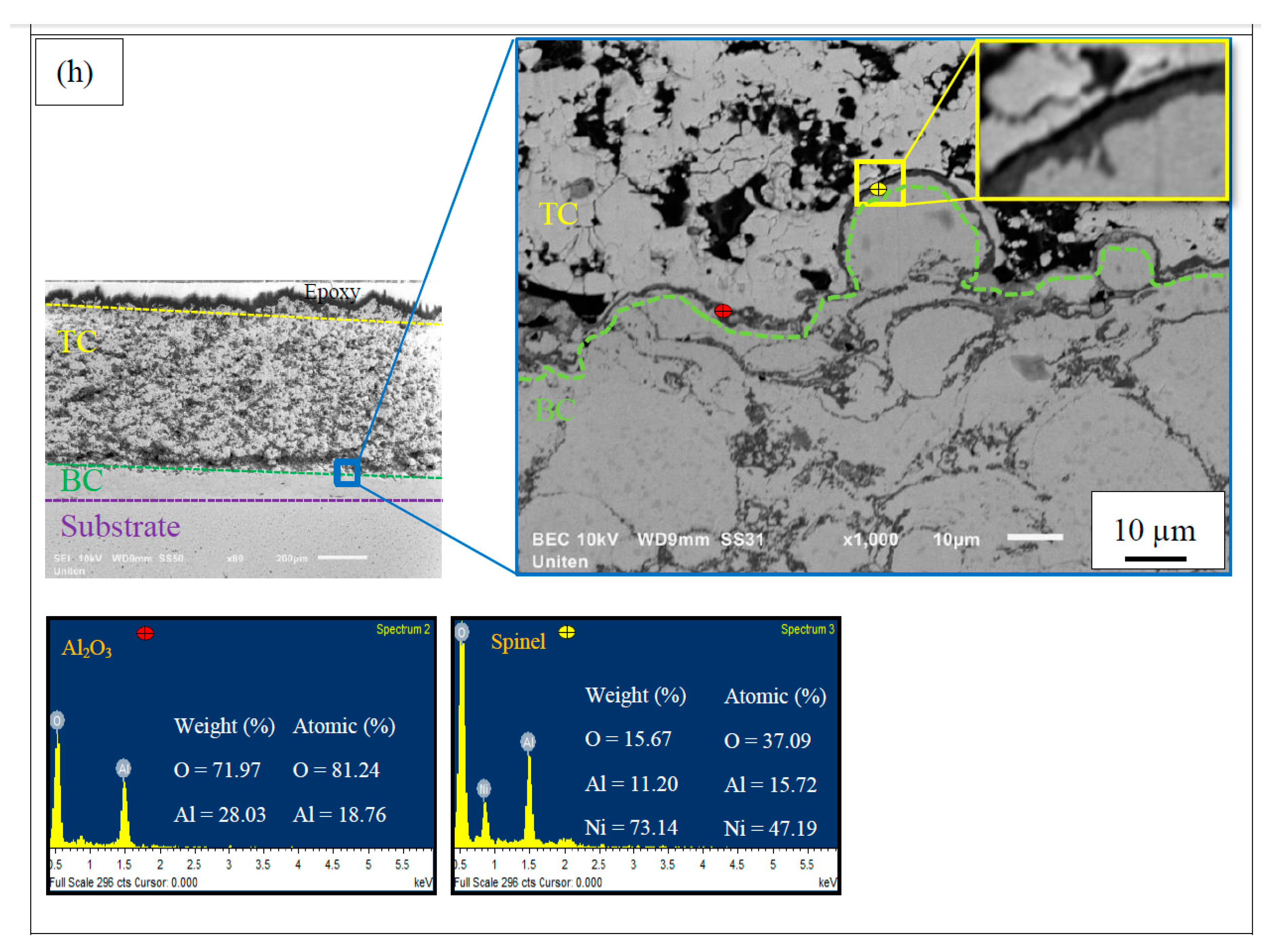 Coatings 09 00719 g003e