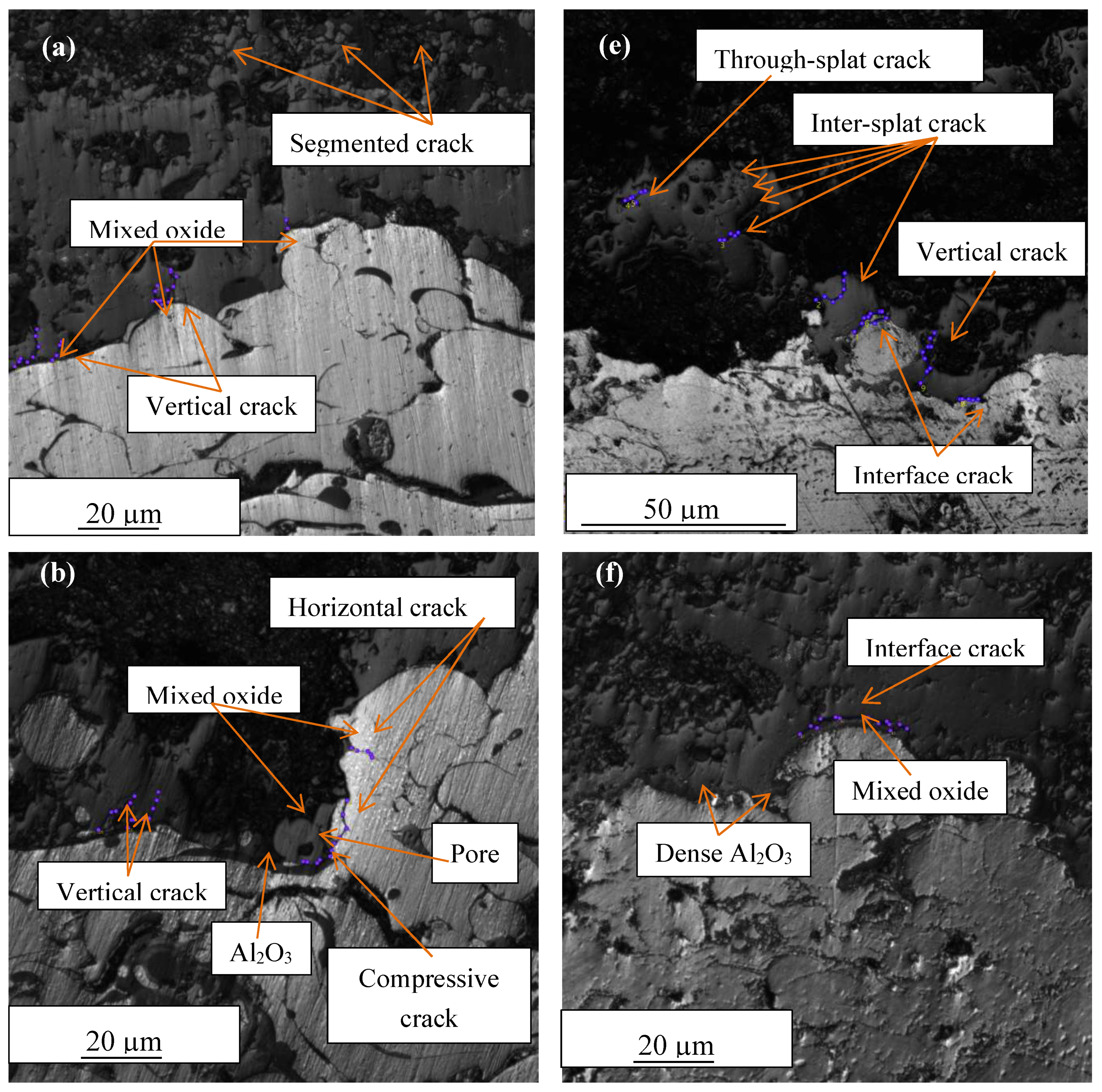 Coatings 09 00719 g006a
