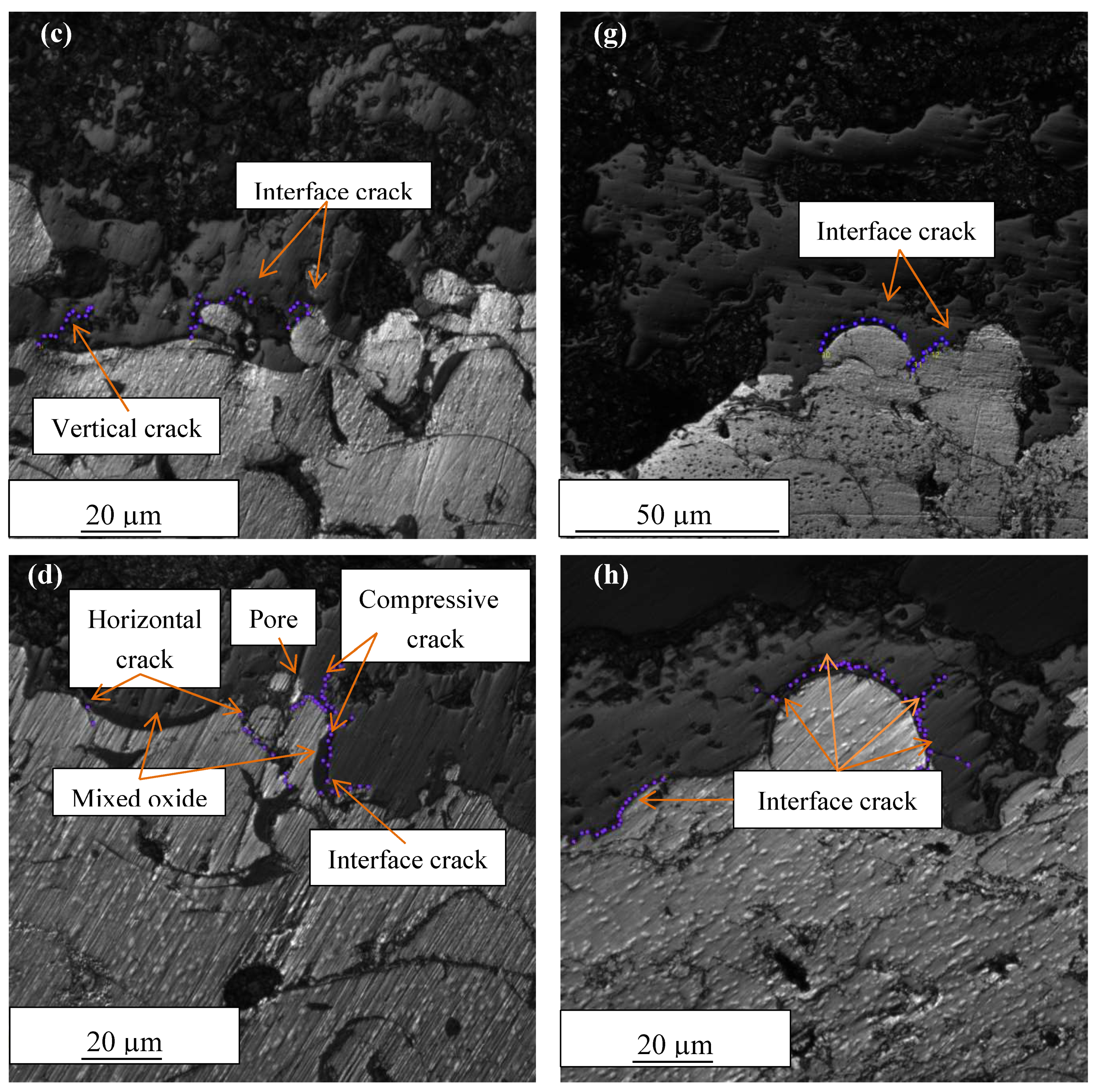 Coatings 09 00719 g006b