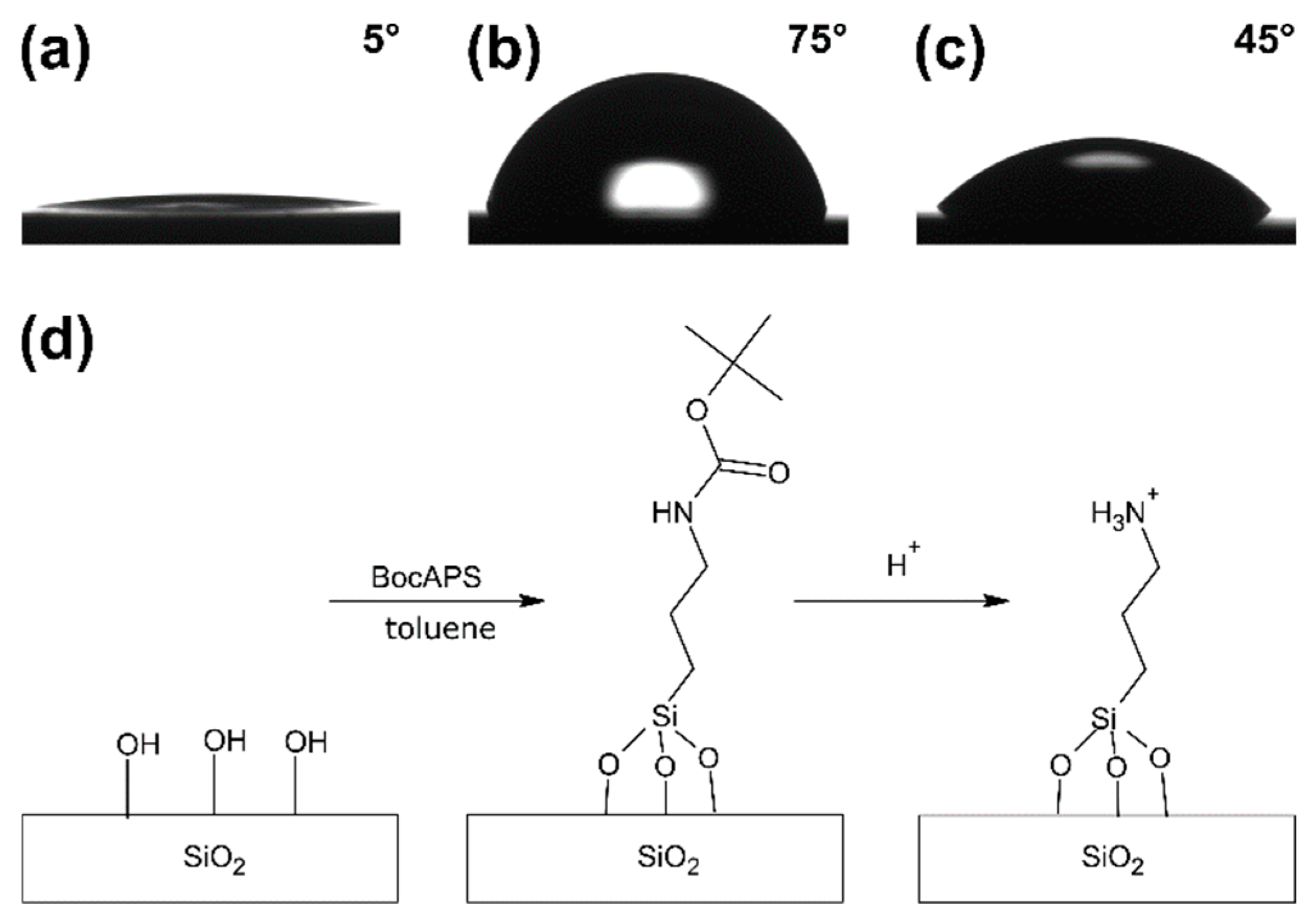 Coatings 09 00726 g003 Coatings 09 00726 g003