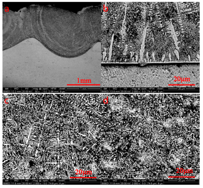 Coatings 09 00728 g011