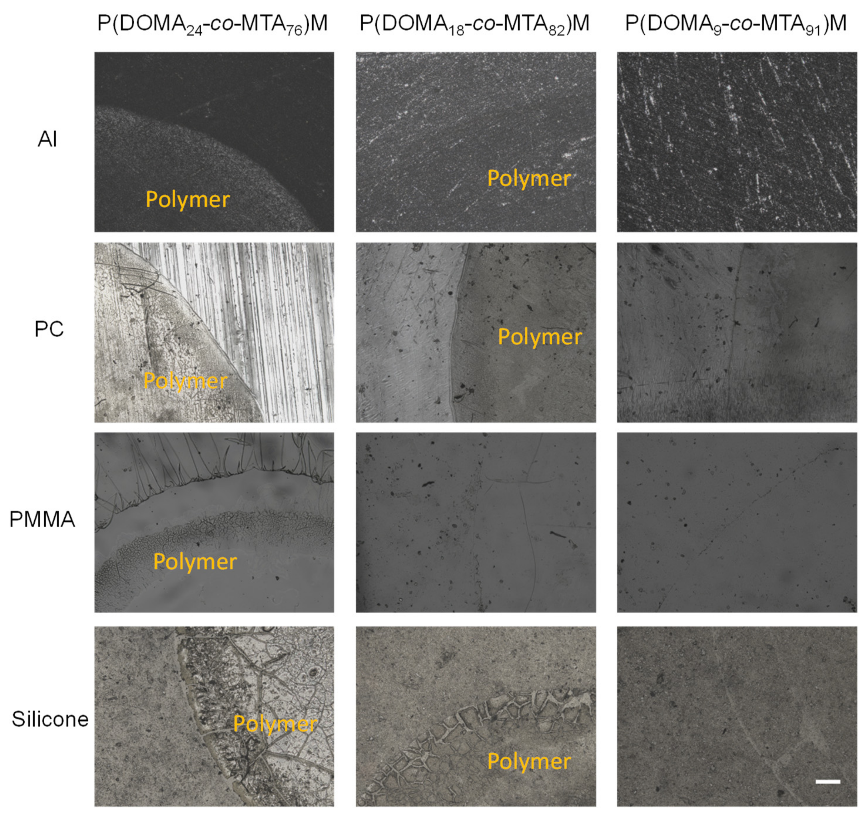 Coatings 09 00733 g004