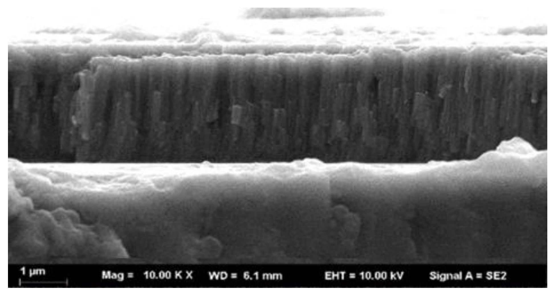 Coatings 09 00734 g001