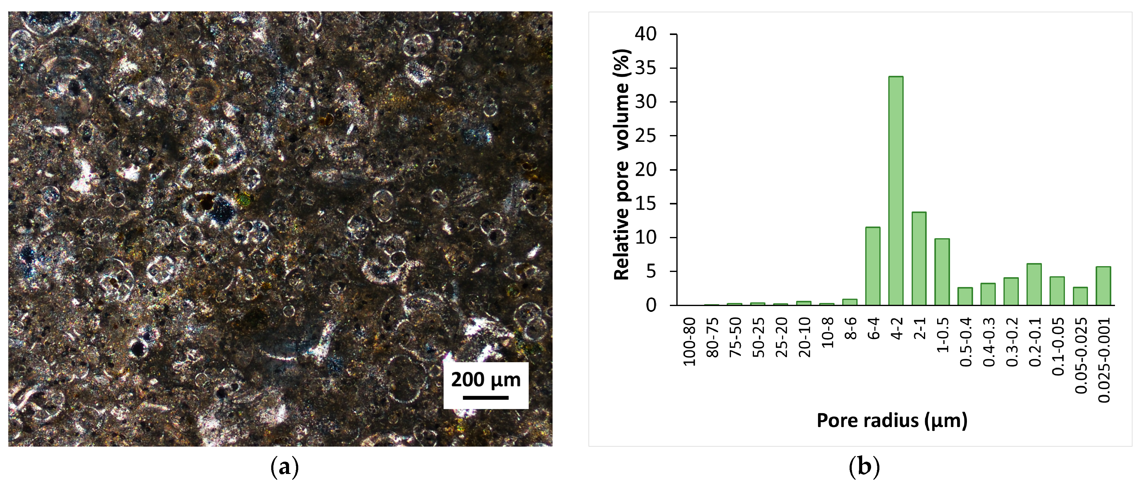 Coatings 09 00740 g001