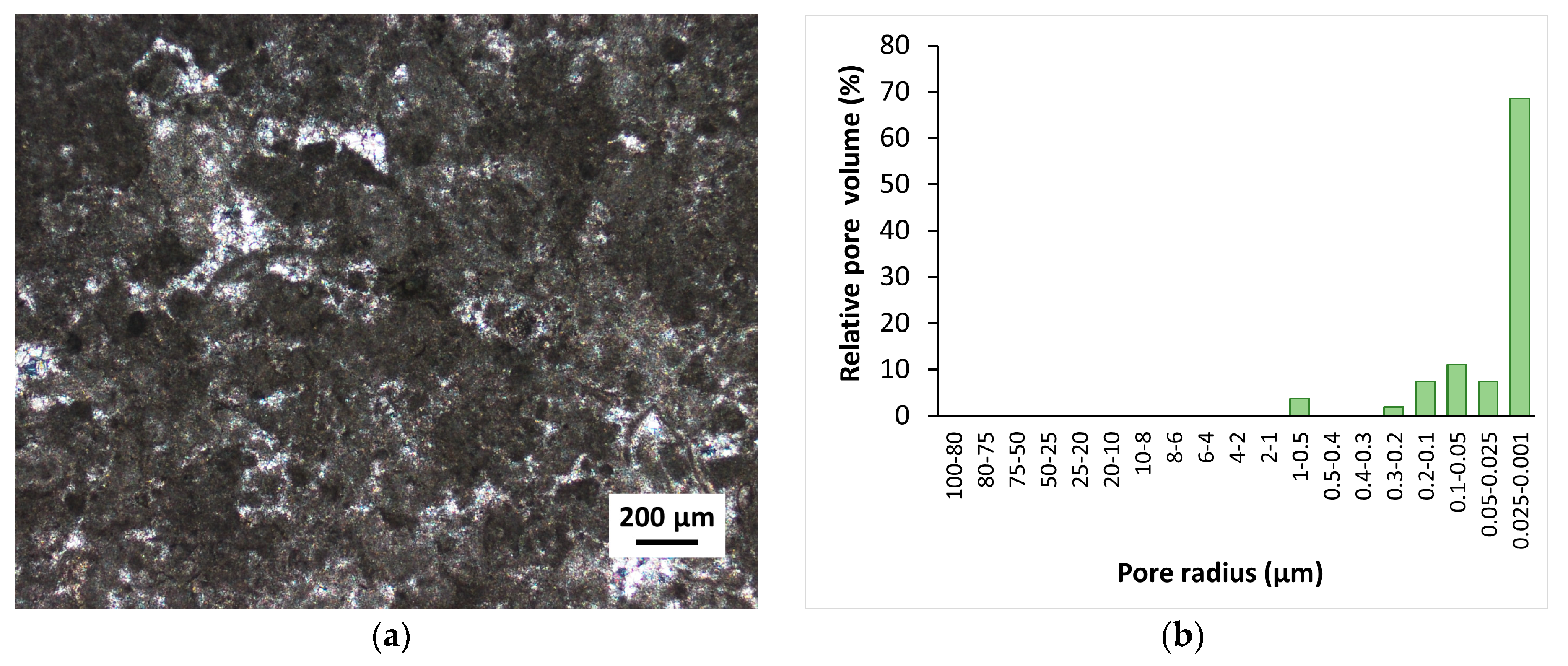 Coatings 09 00740 g002