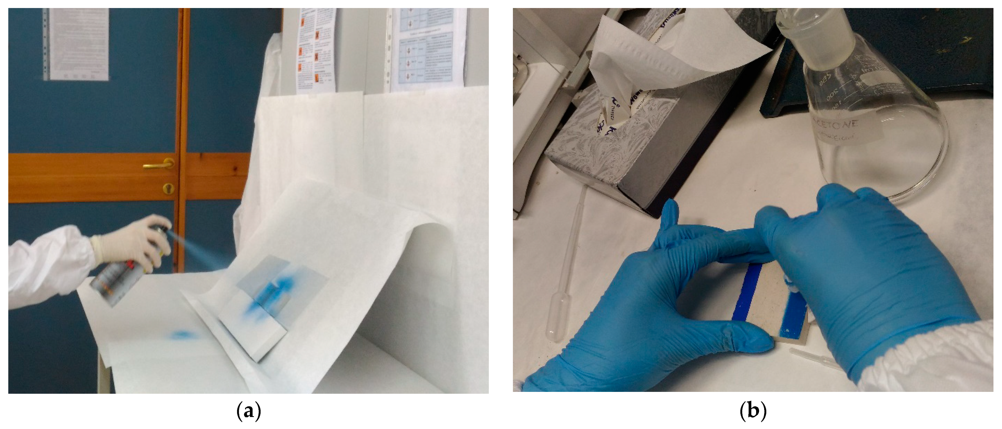 Coatings 09 00740 g004