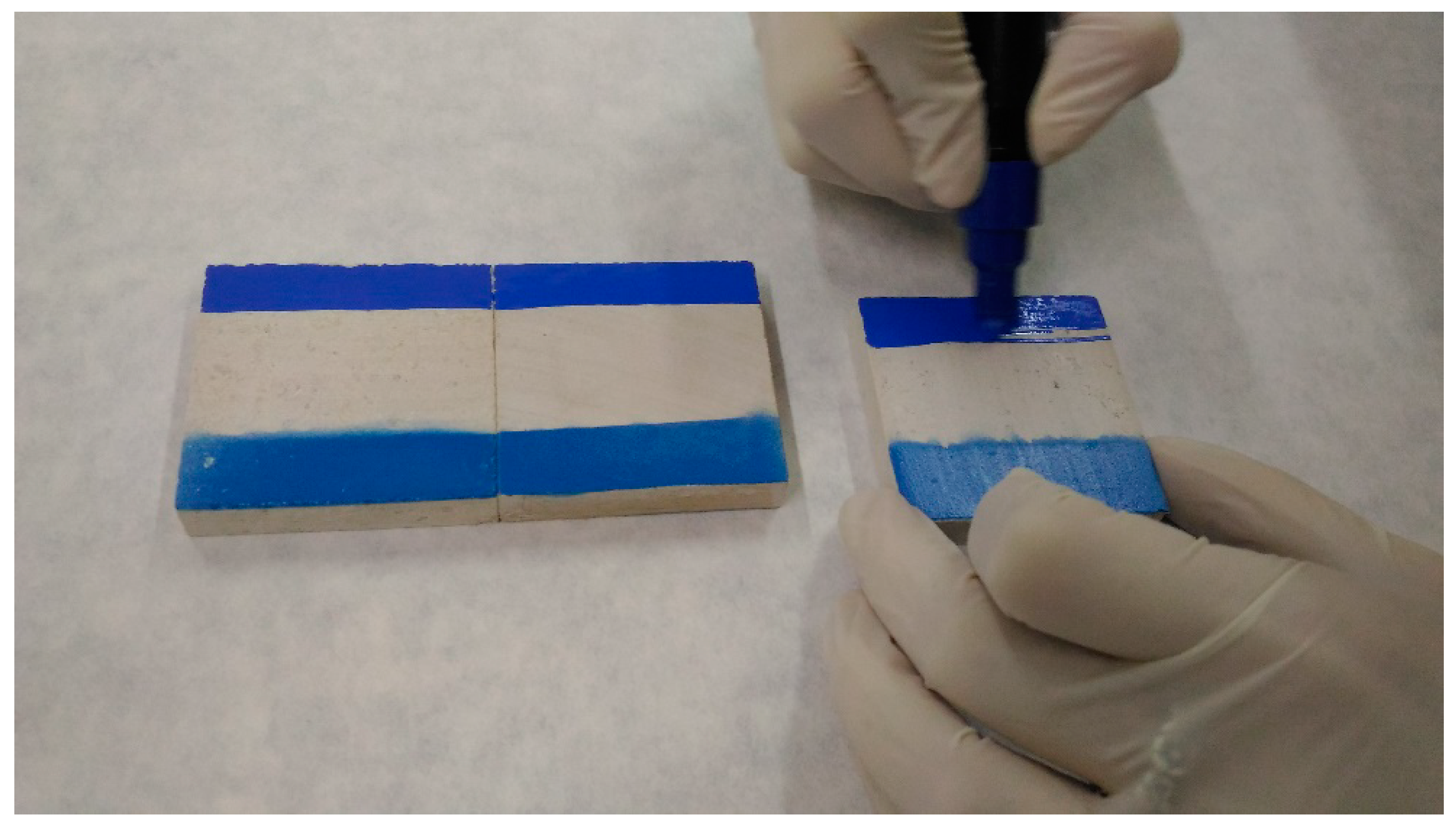 Coatings 09 00740 g005