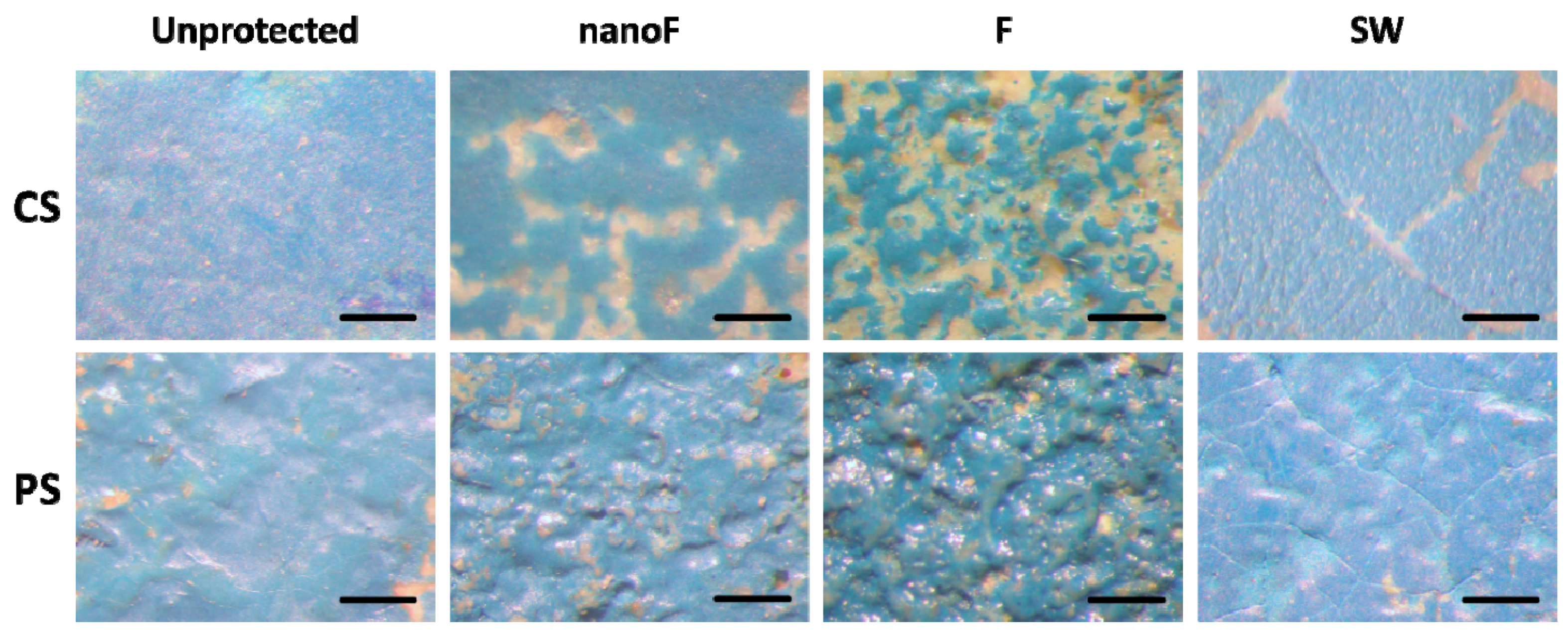 Coatings 09 00740 g007