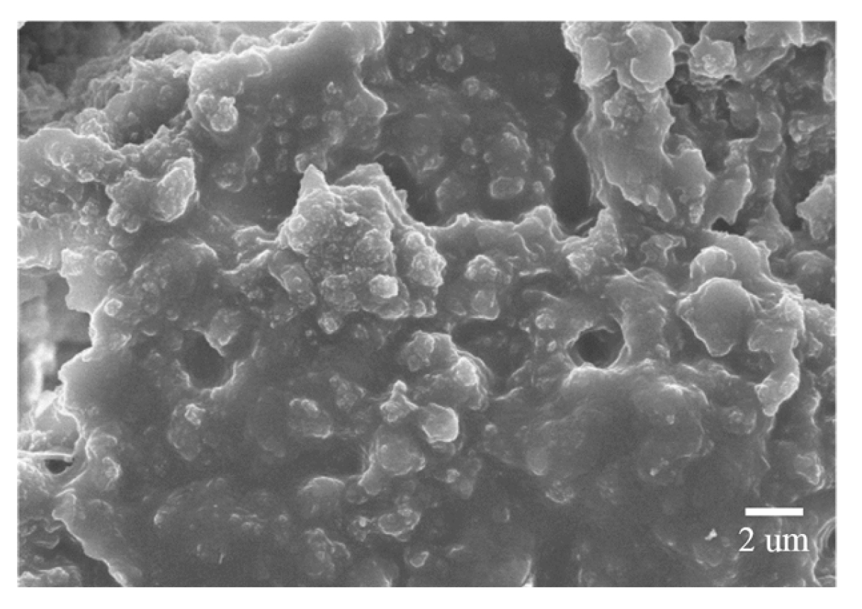 Coatings 09 00743 g002