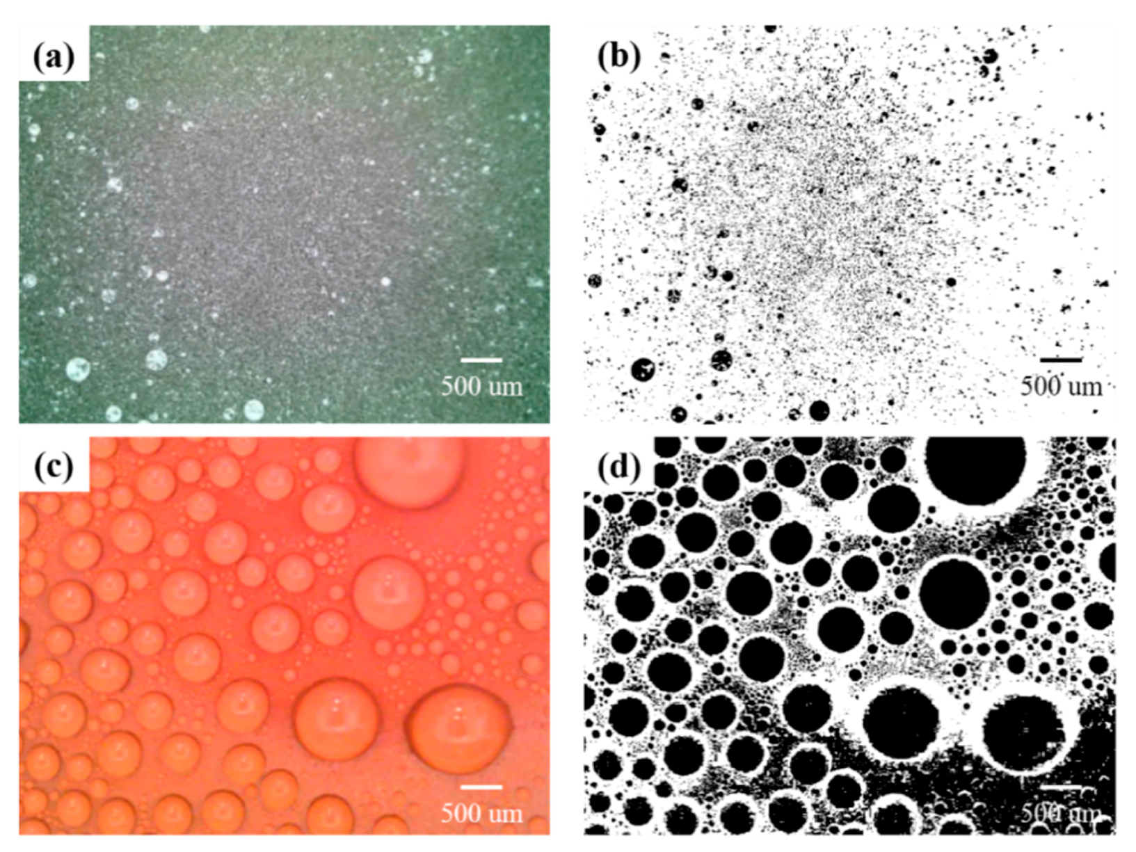 Coatings 09 00743 g004