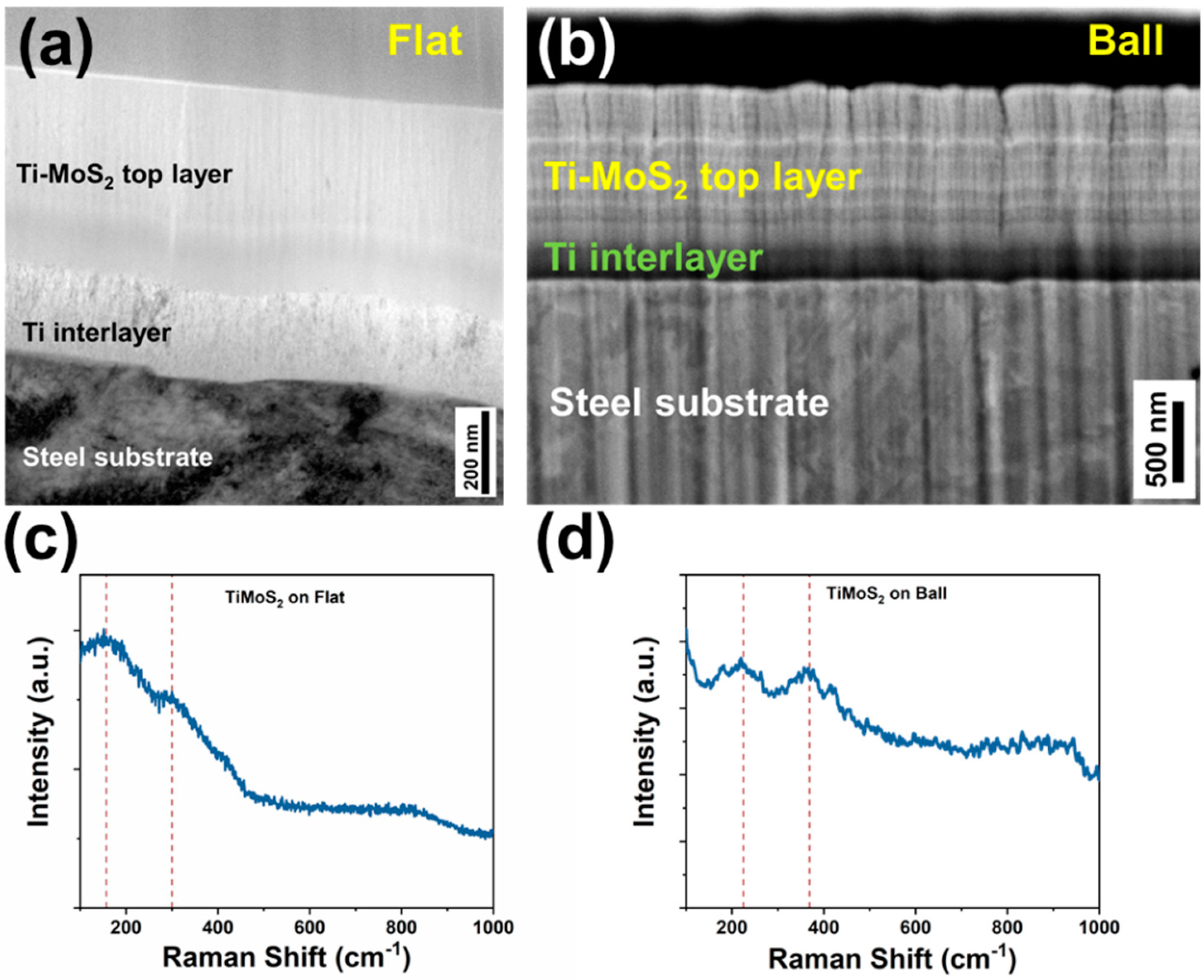 Coatings 09 00752 g002