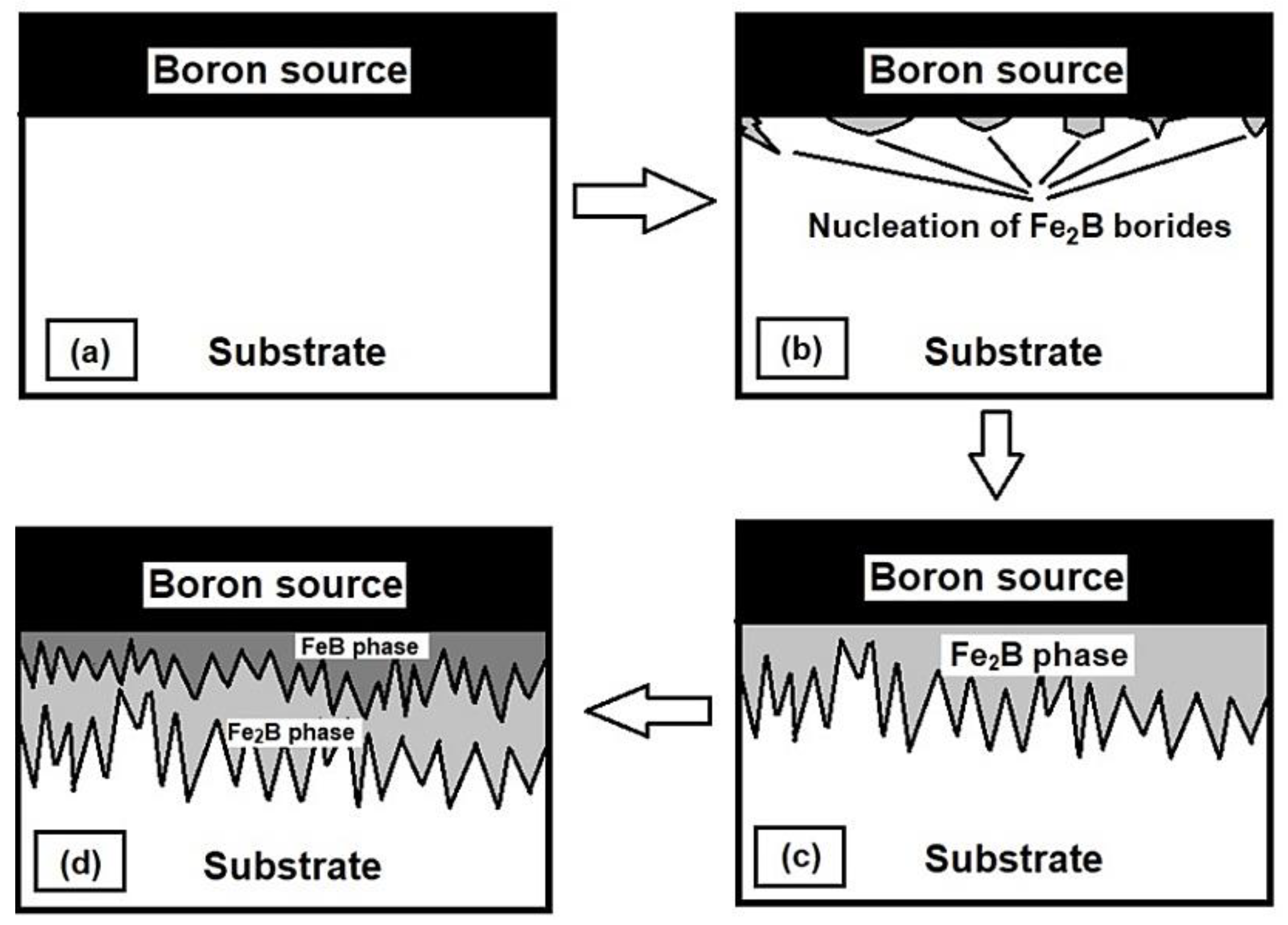 Coatings 09 00756 g001
