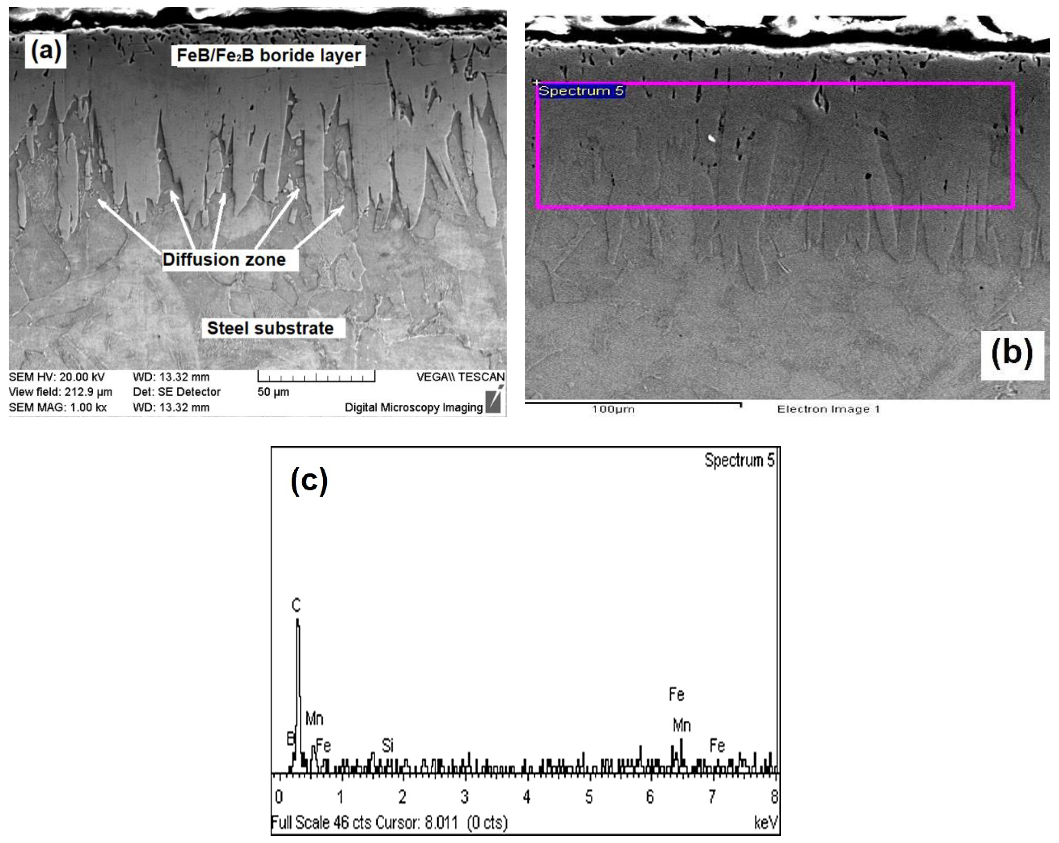 Coatings 09 00756 g004
