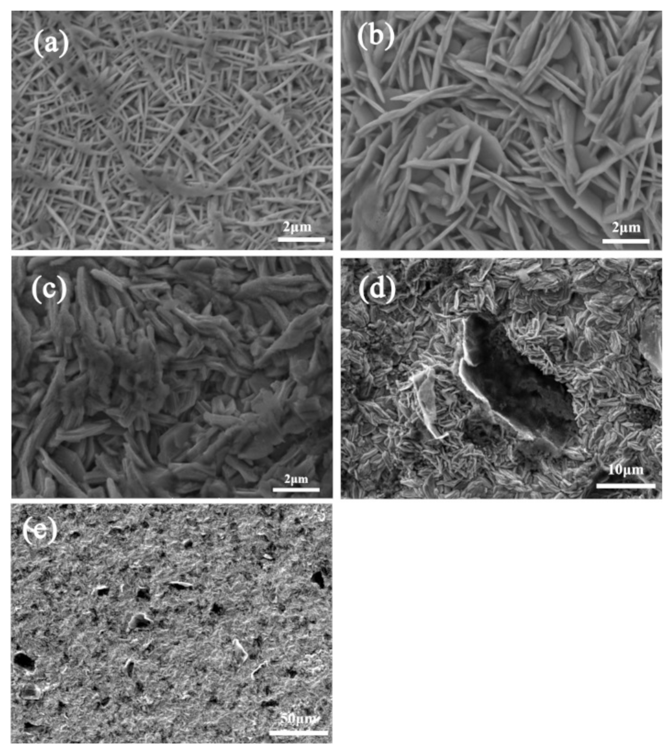 Coatings 09 00758 g004