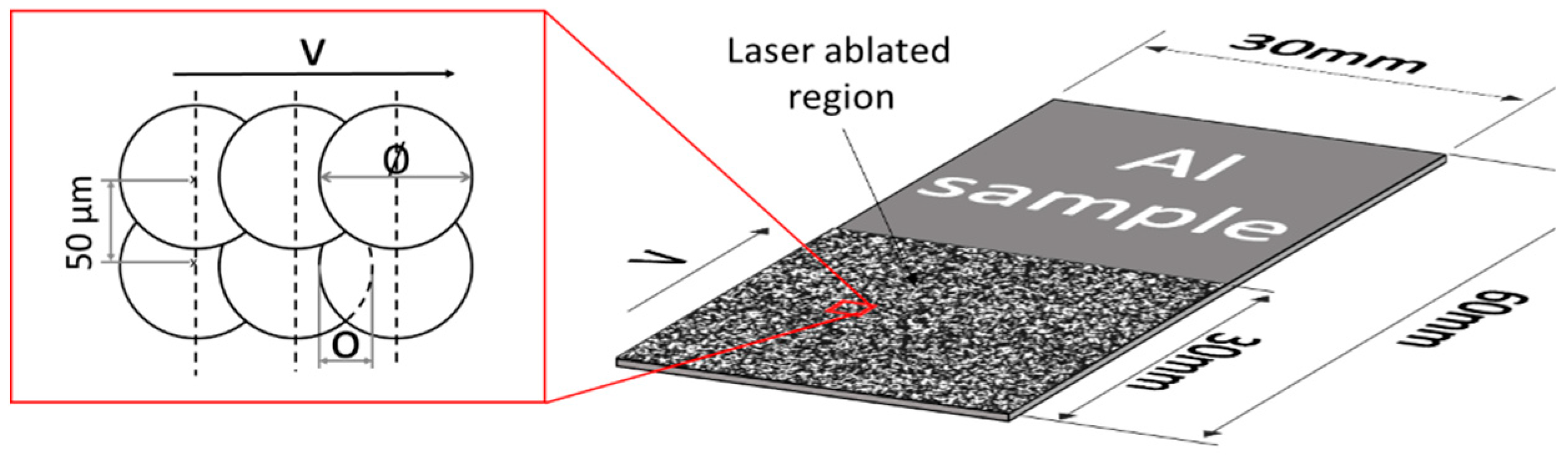 Coatings 09 00768 g001