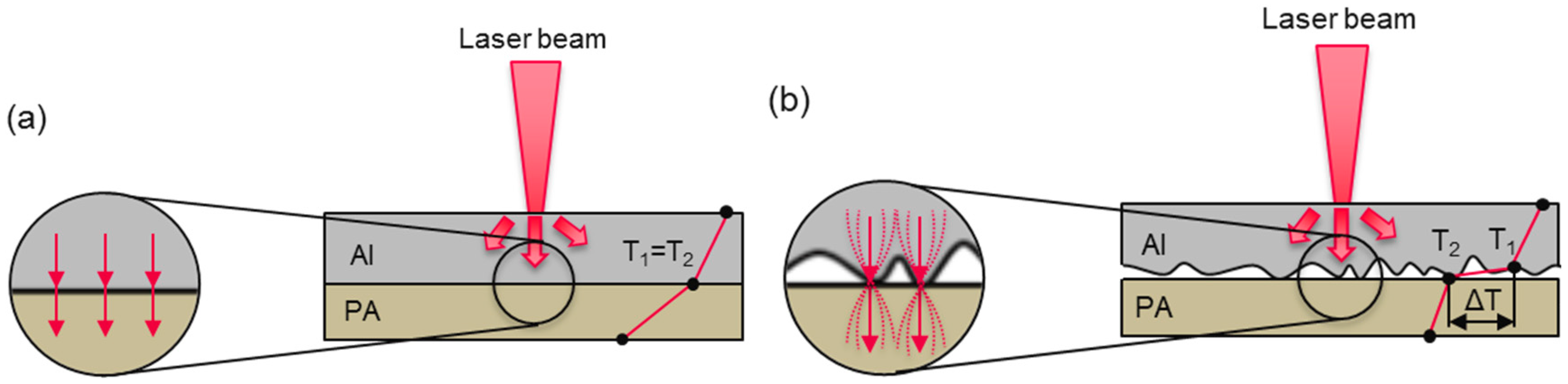 Coatings 09 00768 g003