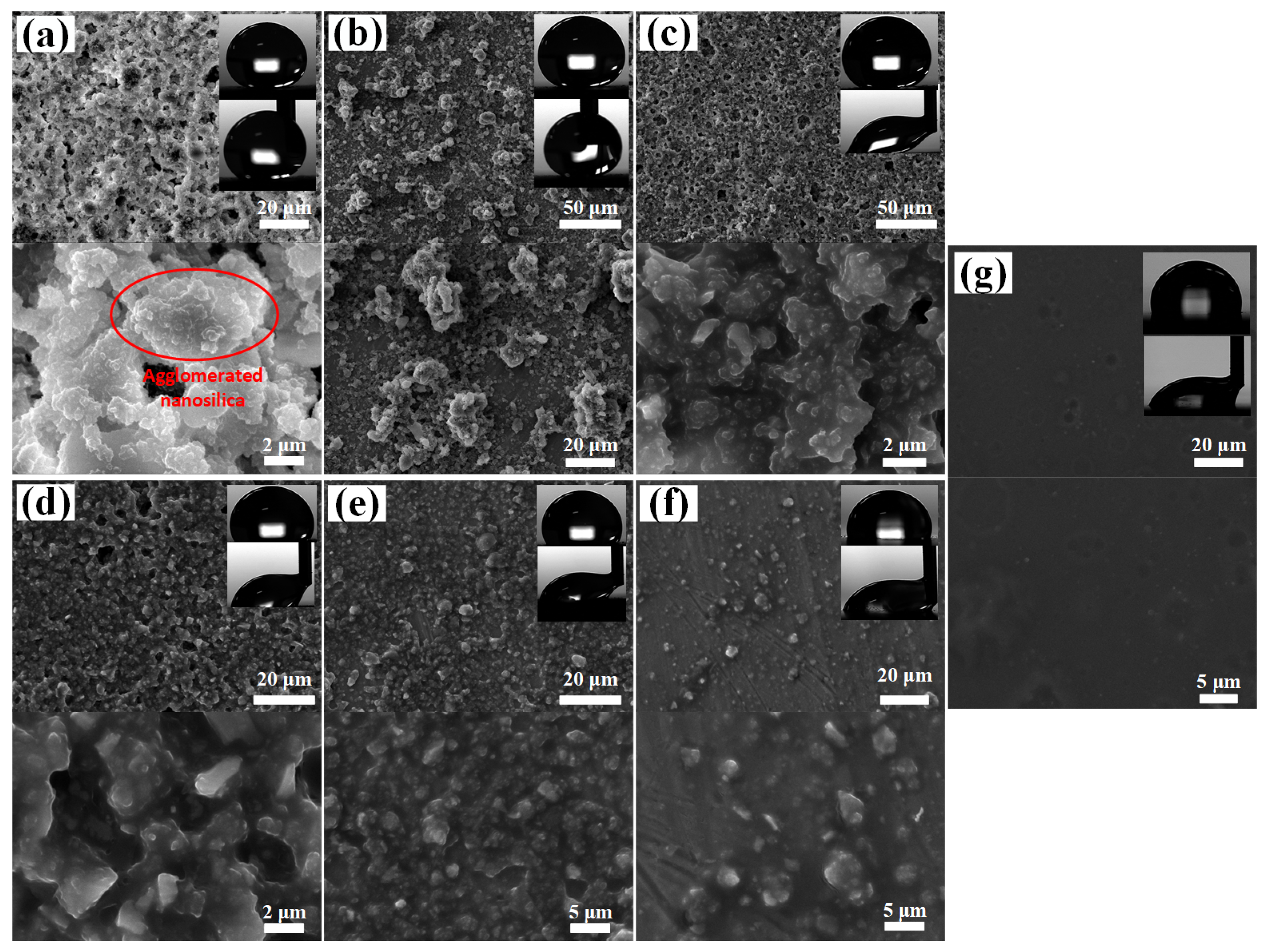Coatings 09 00771 g008