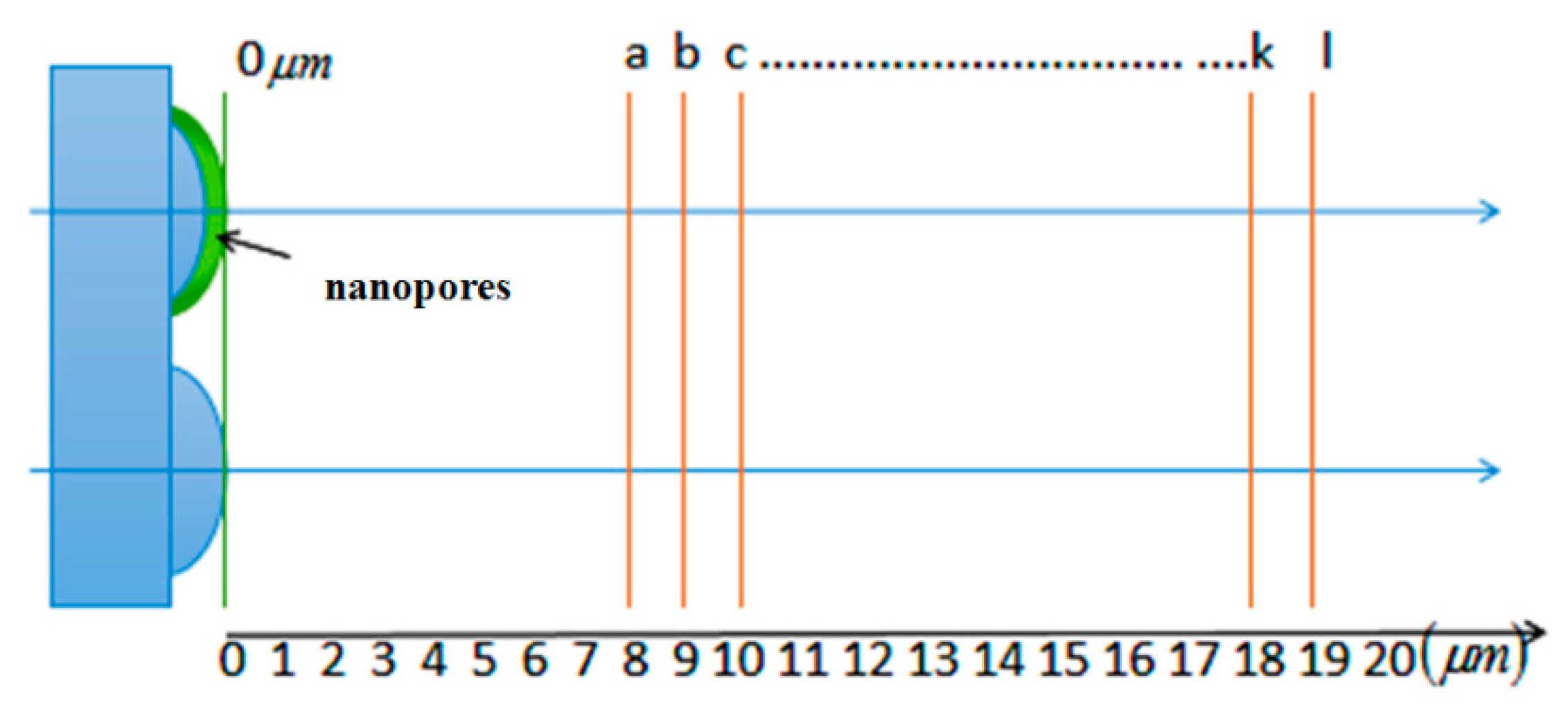 Coatings 09 00776 g011