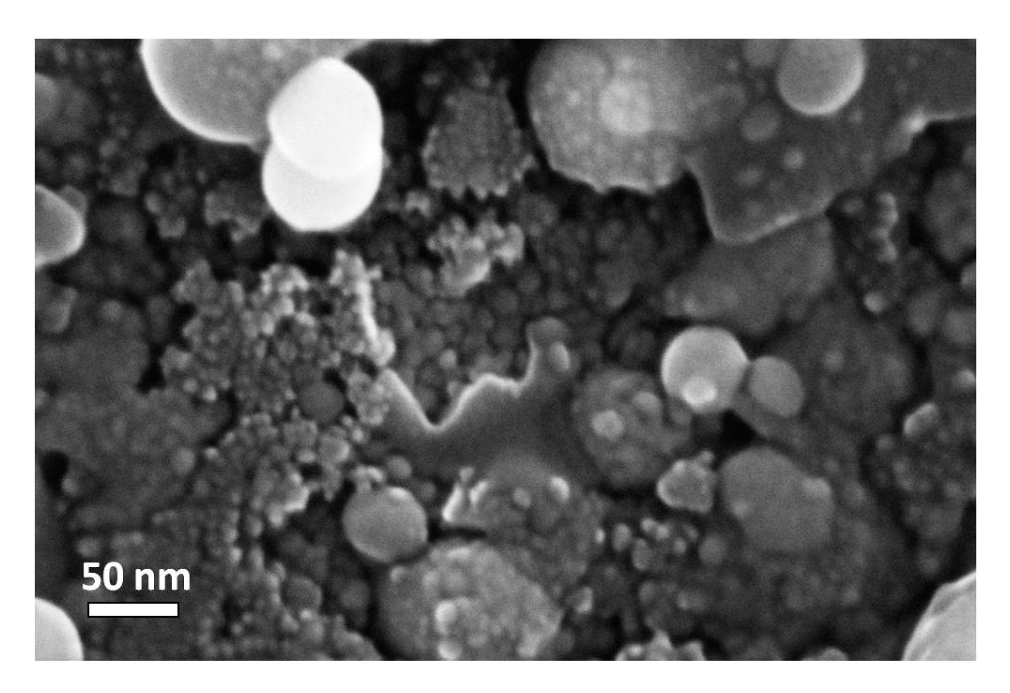 Coatings 09 00777 g007