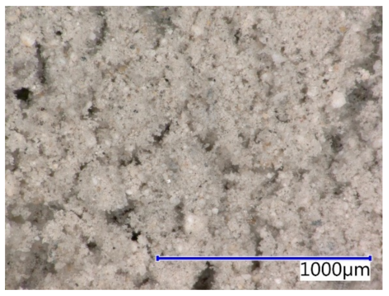 Coatings 09 00793 g005