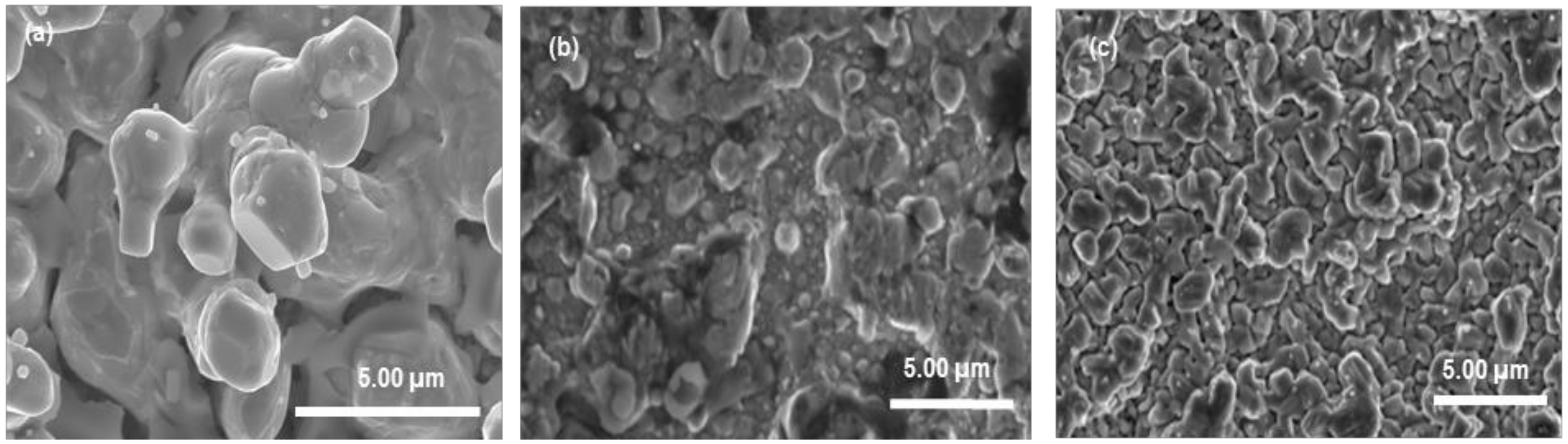 Coatings 09 00800 g001