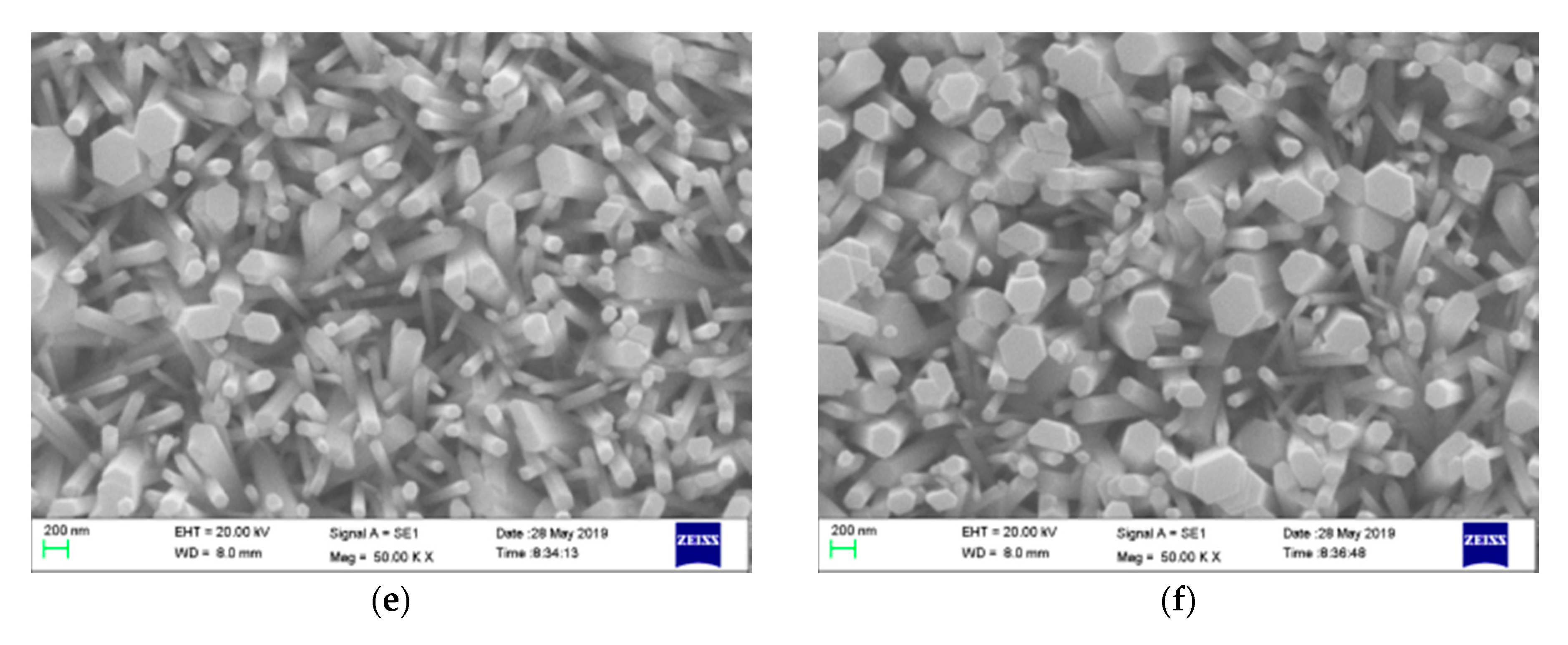 Coatings 09 00803 g002b Coatings 09 00803 g002b