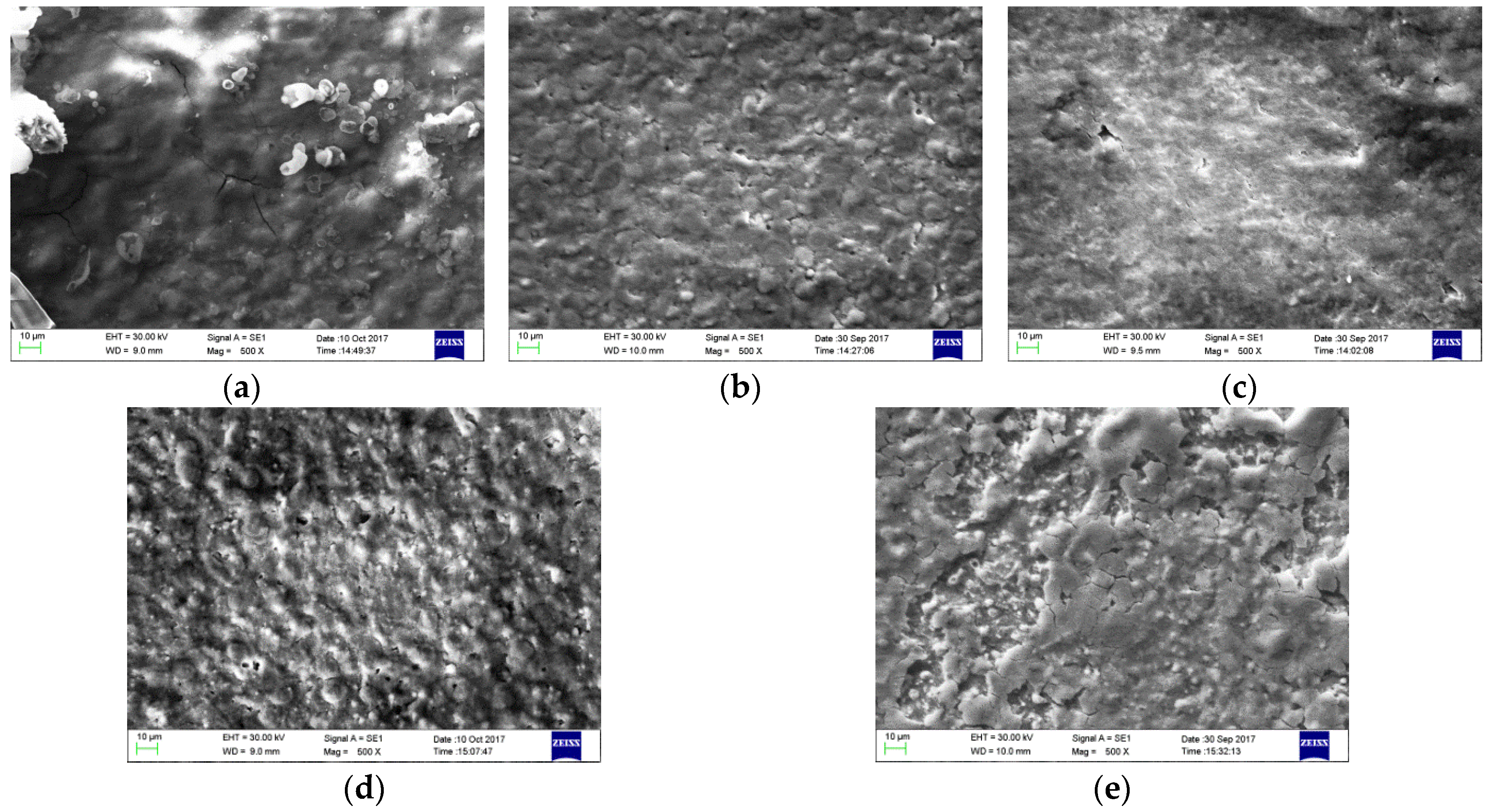 Coatings 09 00805 g003