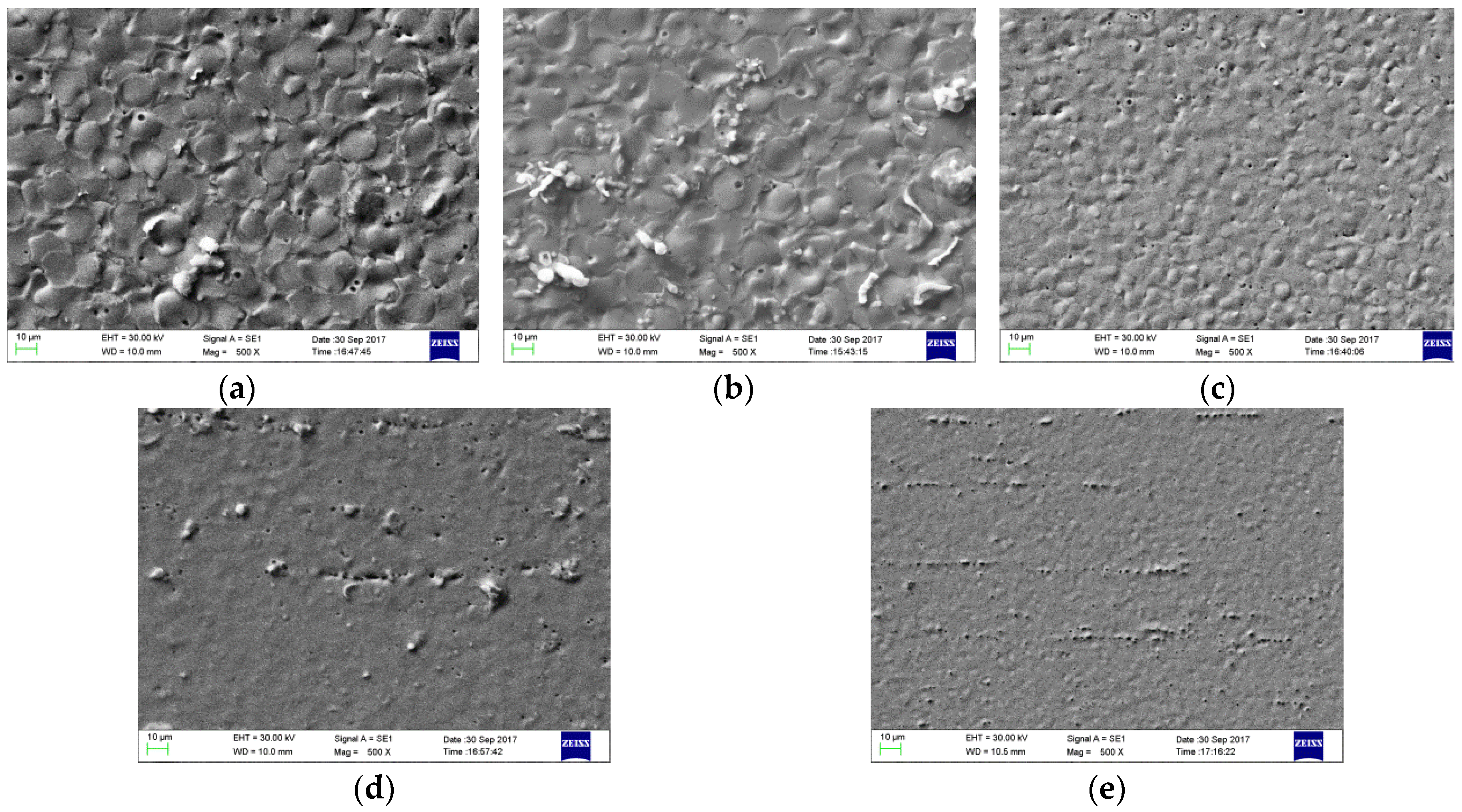 Coatings 09 00805 g004